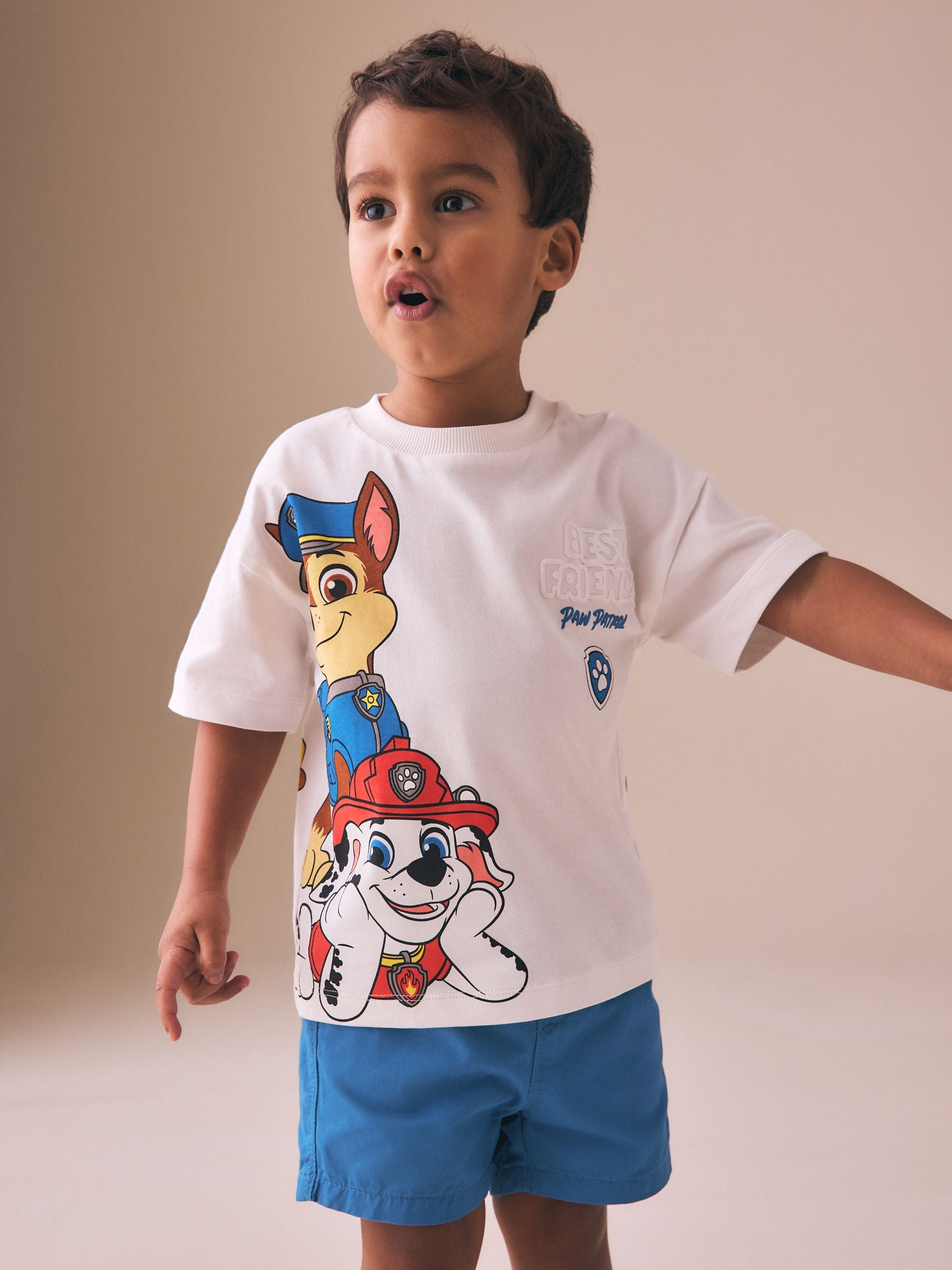 Grey Paw Patrol Short Sleeve T-Shirt (9mths-8yrs) image 4