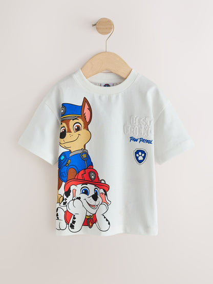 Grey Paw Patrol Short Sleeve T-Shirt (9mths-8yrs) image 5