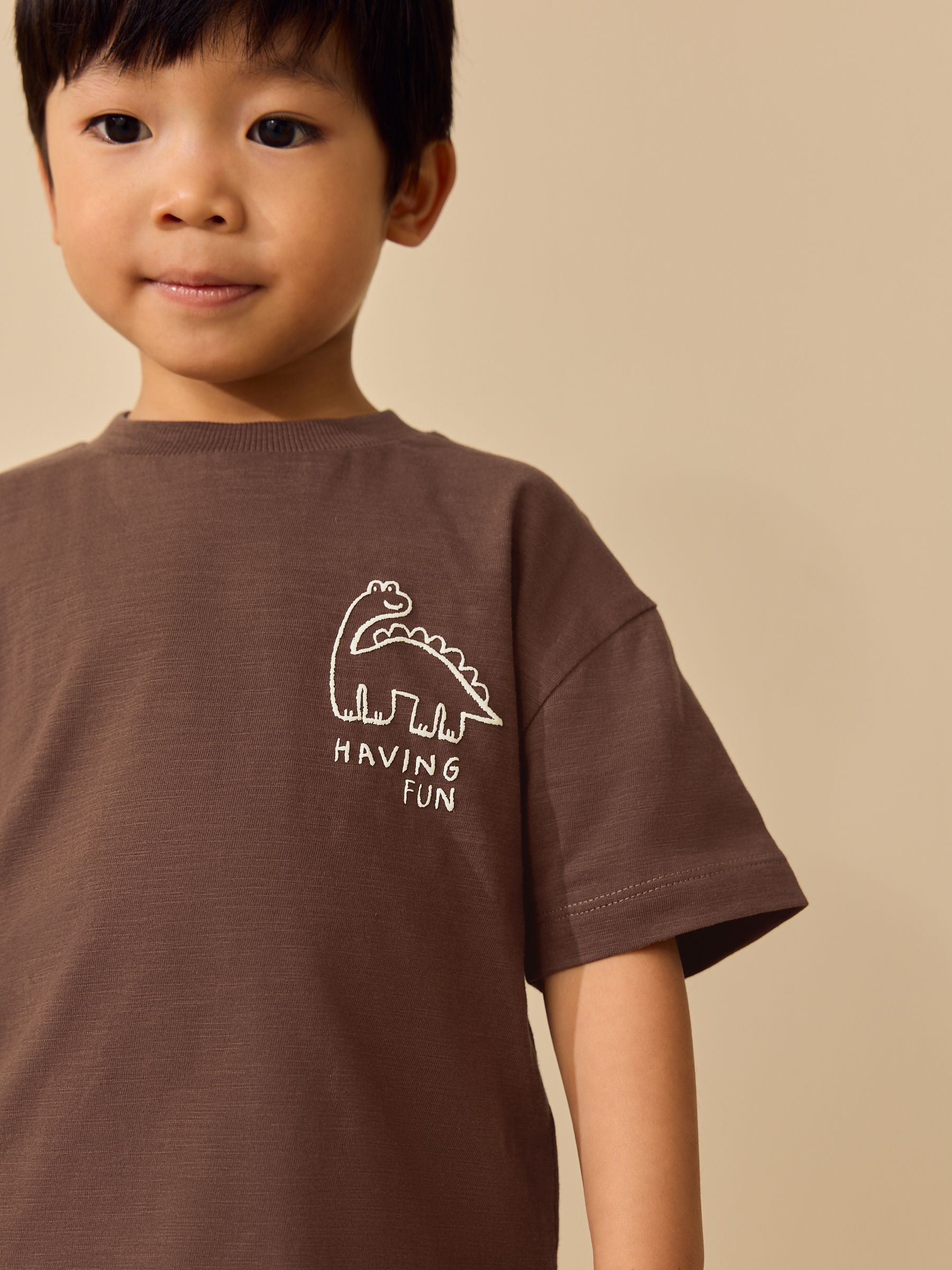 Chocolate Brown Dinosaur Club Oversized Short Sleeve Back Print T-Shirt (3mths-7yrs) image 9
