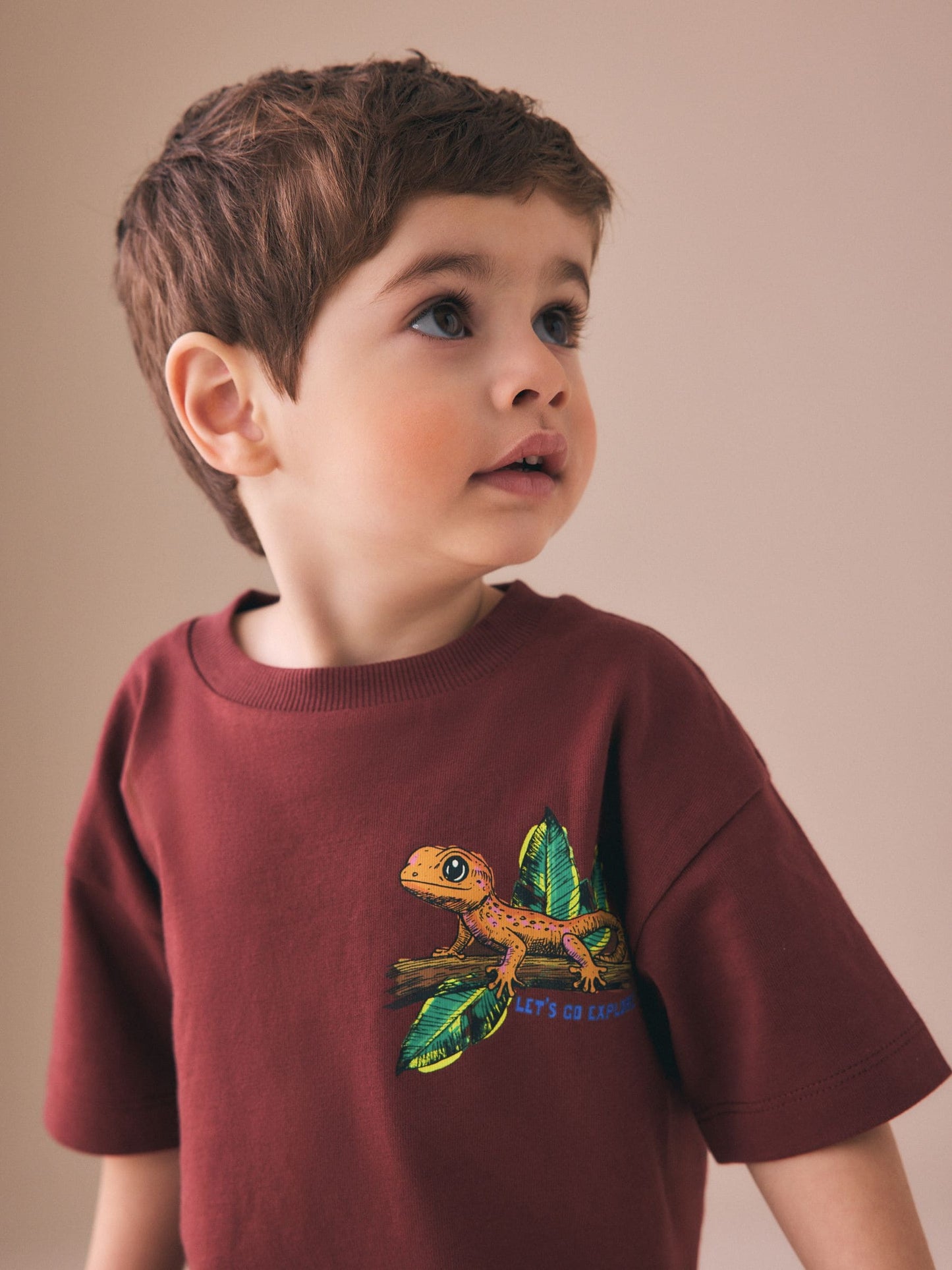 Burgundy Red Gecko Short Sleeve Back Print T-Shirt (3mths-7yrs) image 3
