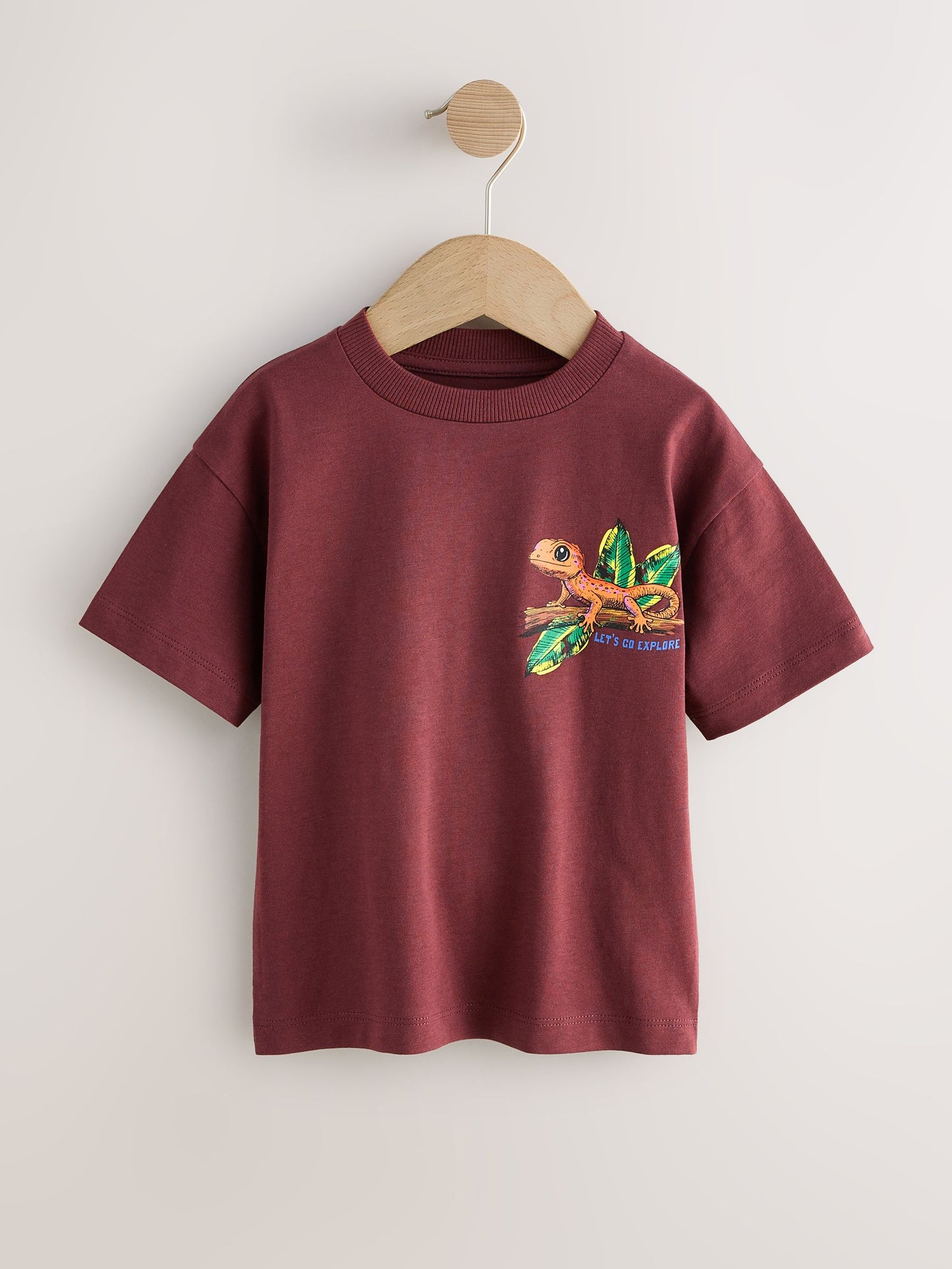 Burgundy Red Gecko Short Sleeve Back Print T-Shirt (3mths-7yrs) image 4