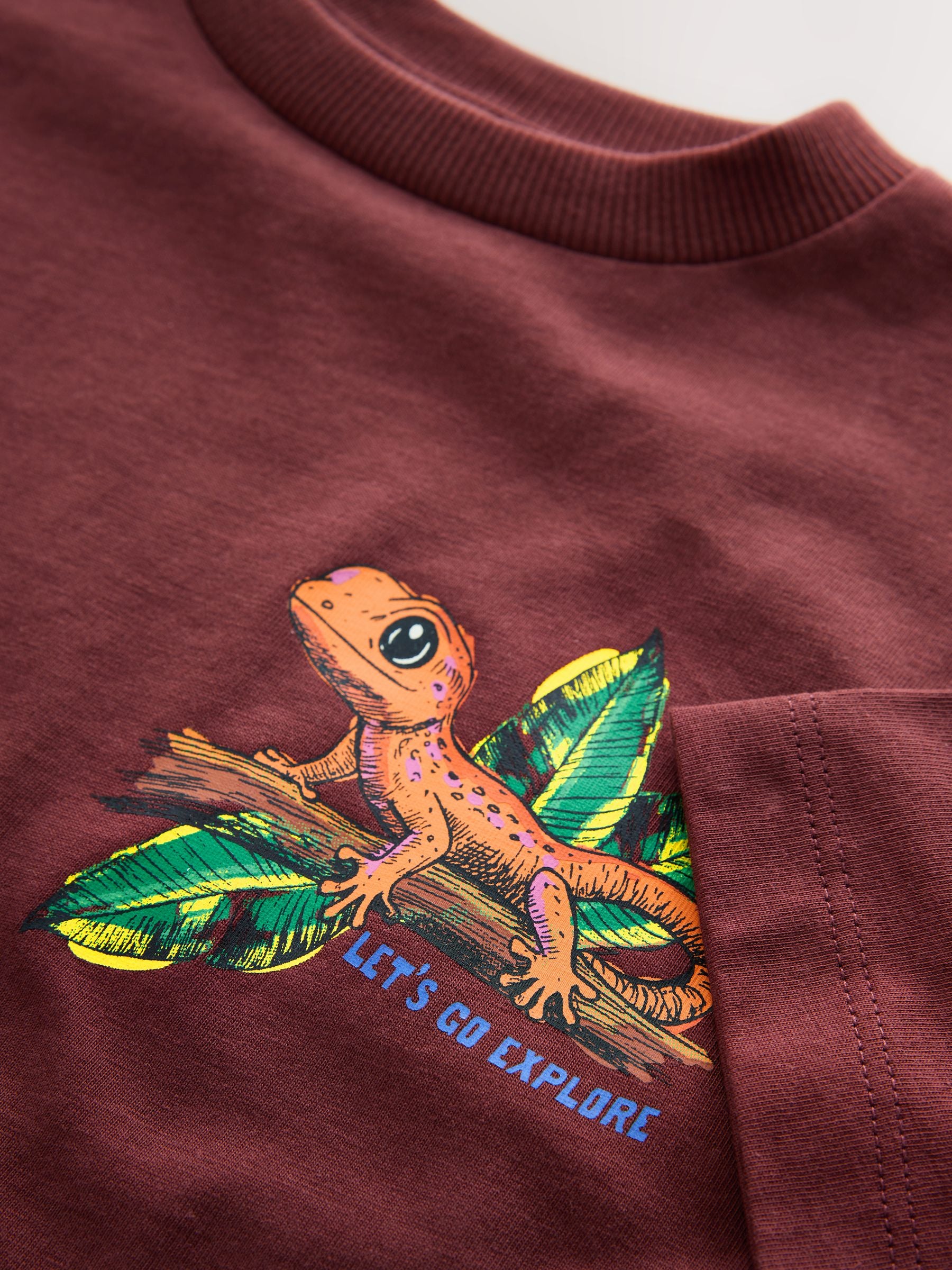 Burgundy Red Gecko Short Sleeve Back Print T-Shirt (3mths-7yrs) image 6