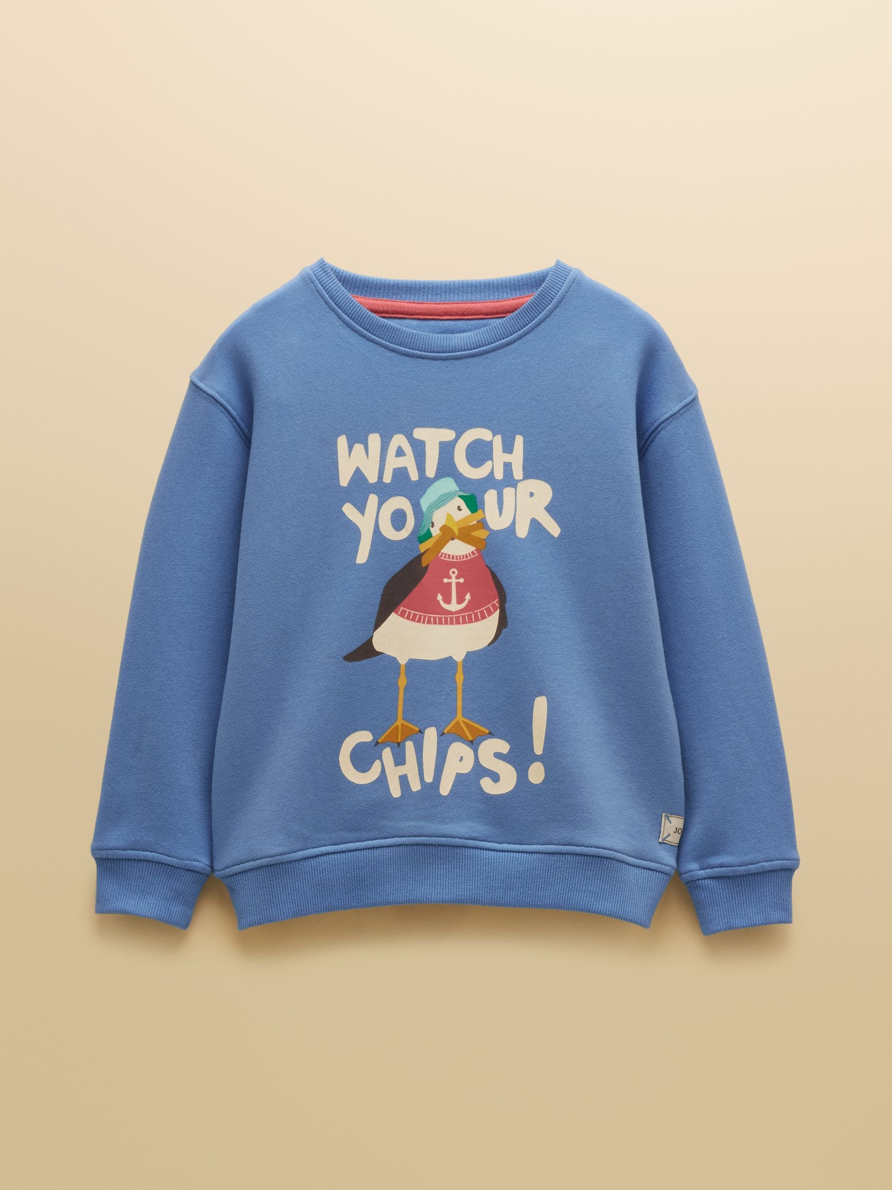 Dsiney Kidz - Joules Boys' Artwork Blue Screenprint Sweatshirt image 3