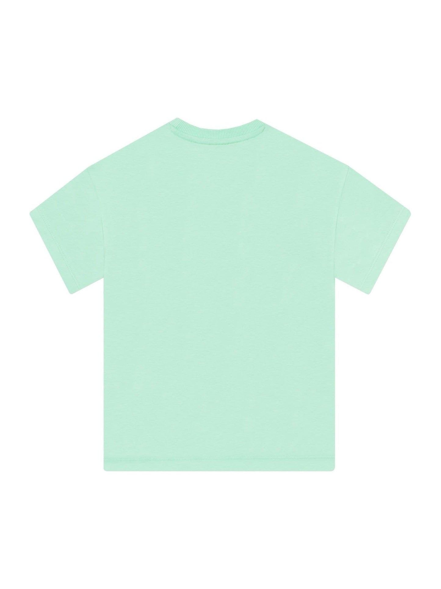 Character Green Harry Potter Hedwig Boxy T-Shirt image 2