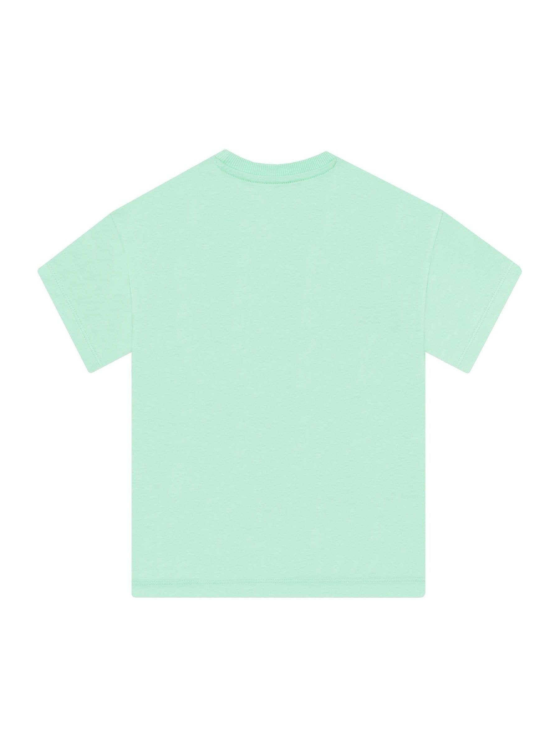 Character Green Harry Potter Hedwig Boxy T-Shirt image 2