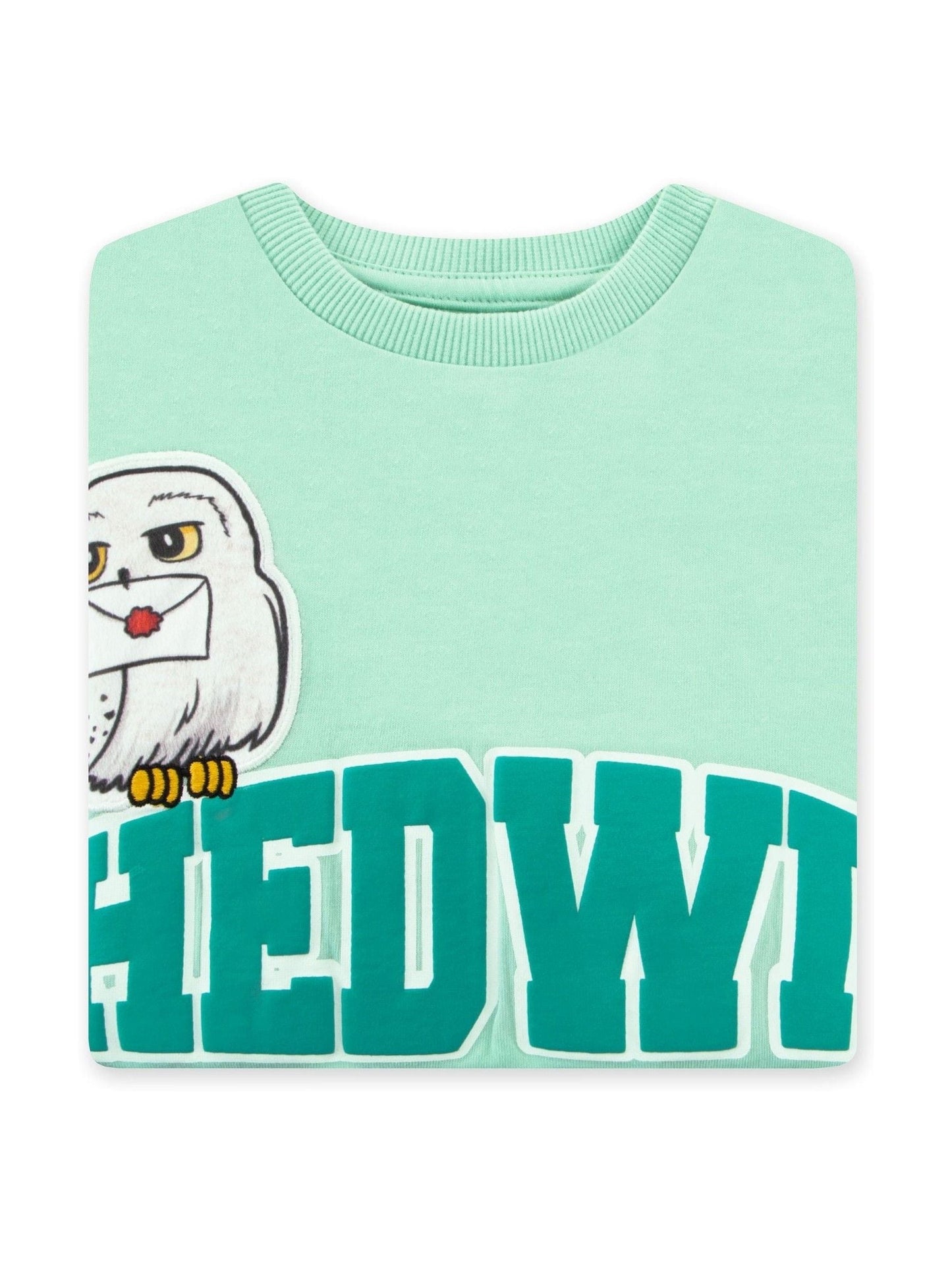 Character Green Harry Potter Hedwig Boxy T-Shirt image 3