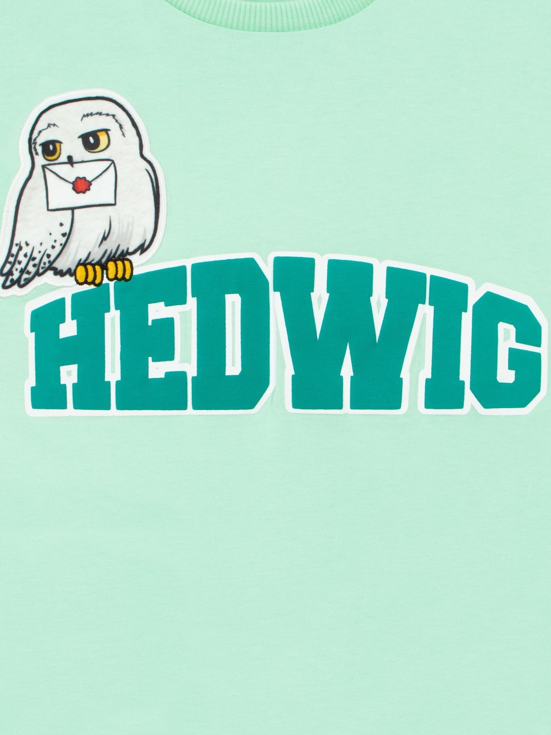 Character Green Harry Potter Hedwig Boxy T-Shirt image 6