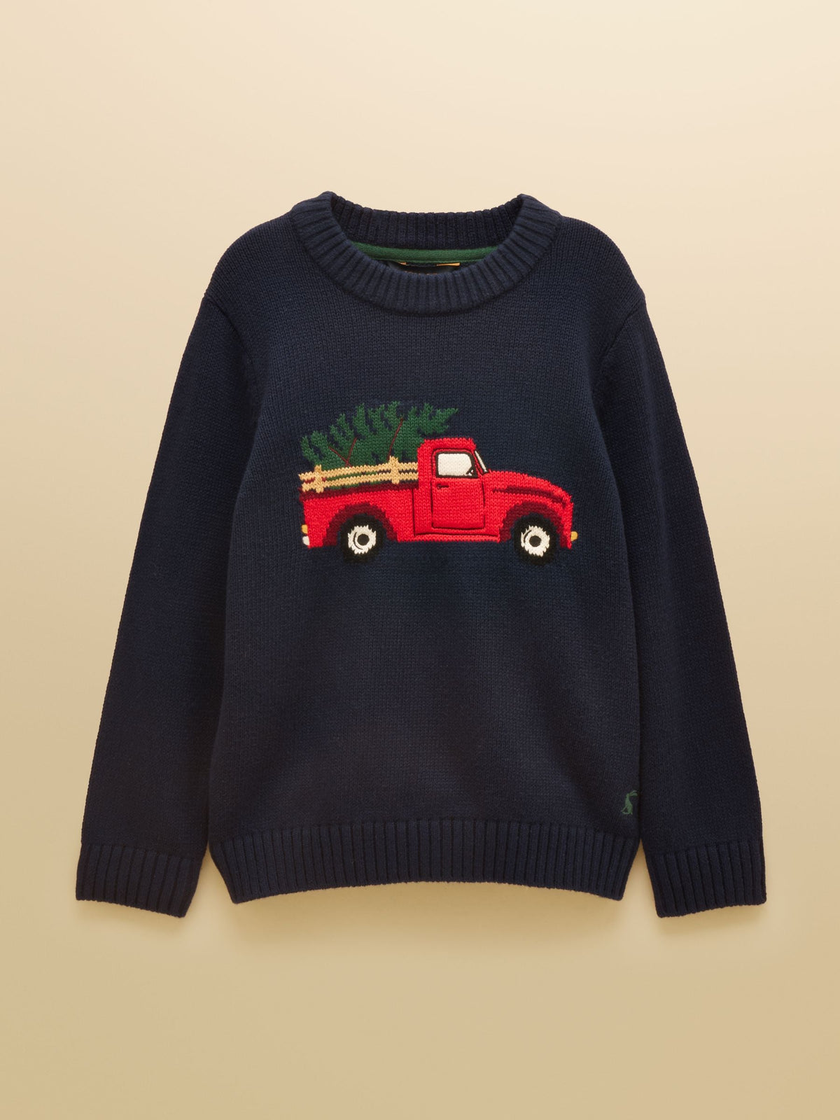 Joules Boys' Intarsia Blue Knit Jumper - image 1