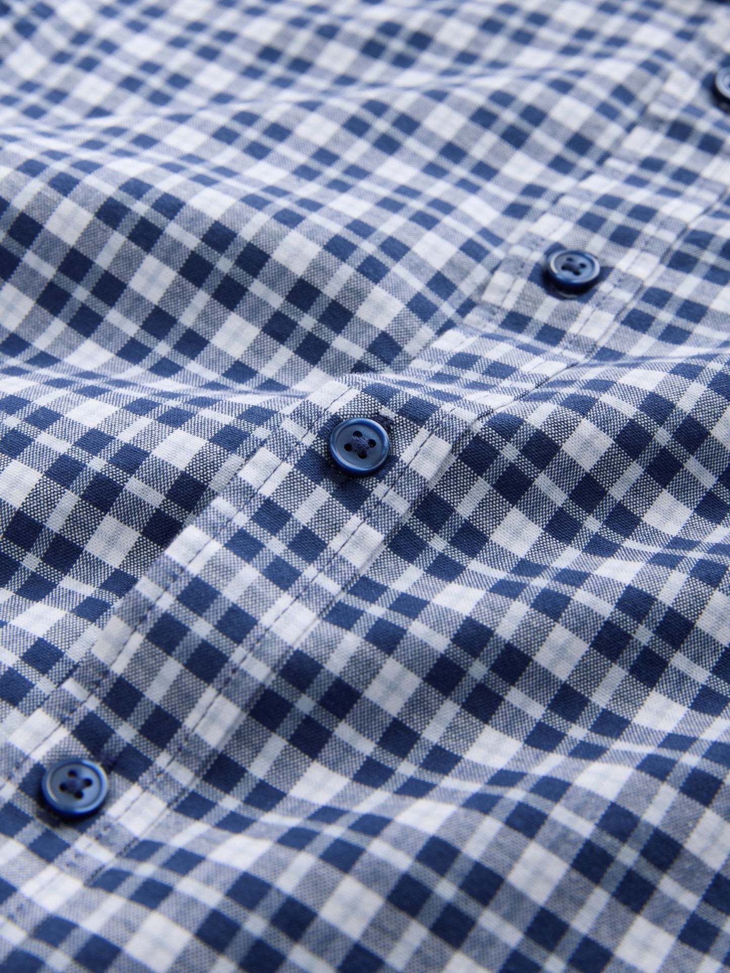 Dsiney Kidz - Navy Gingham Short Sleeve Smart Shirt (3-16yrs) image 8