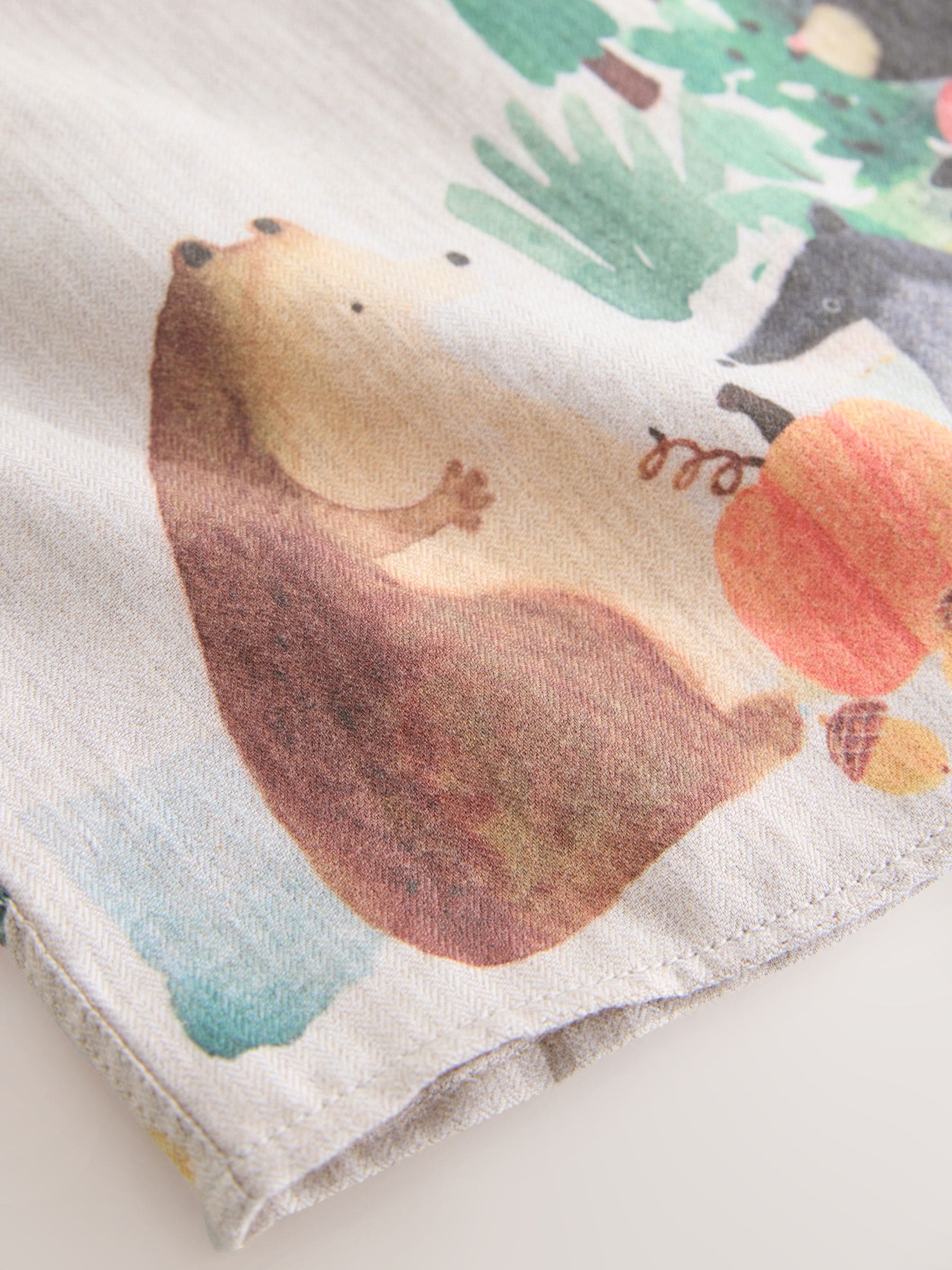 Dsiney Kidz - Neutral Forest Scene Long Sleeve Grandad Collar Scene Printed Shirt (3mths-10yrs) image 7