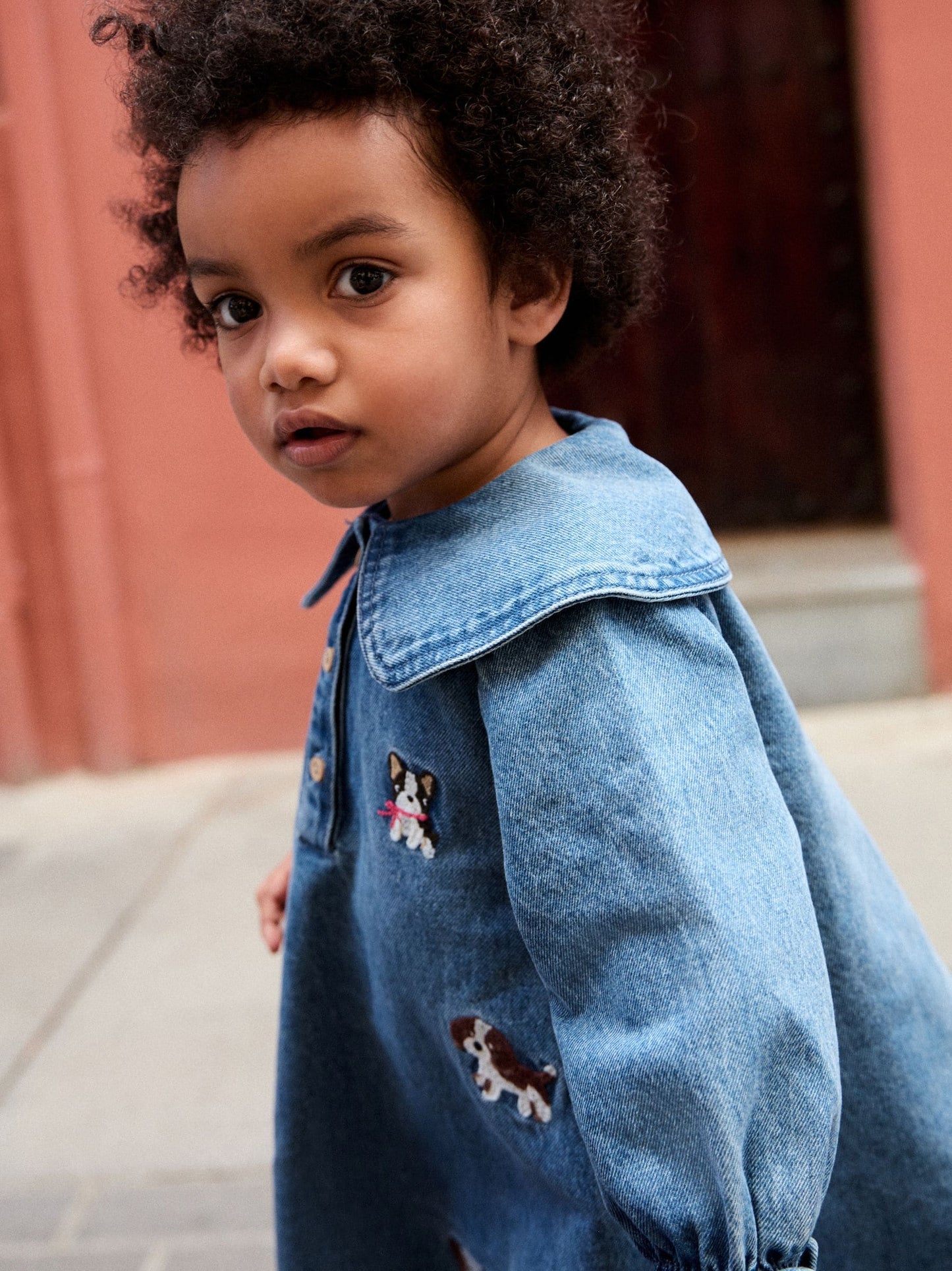 Dsiney Kidz - Blue Denim Embroidered Dog Character Collar Dress (3mths-8yrs) image 2