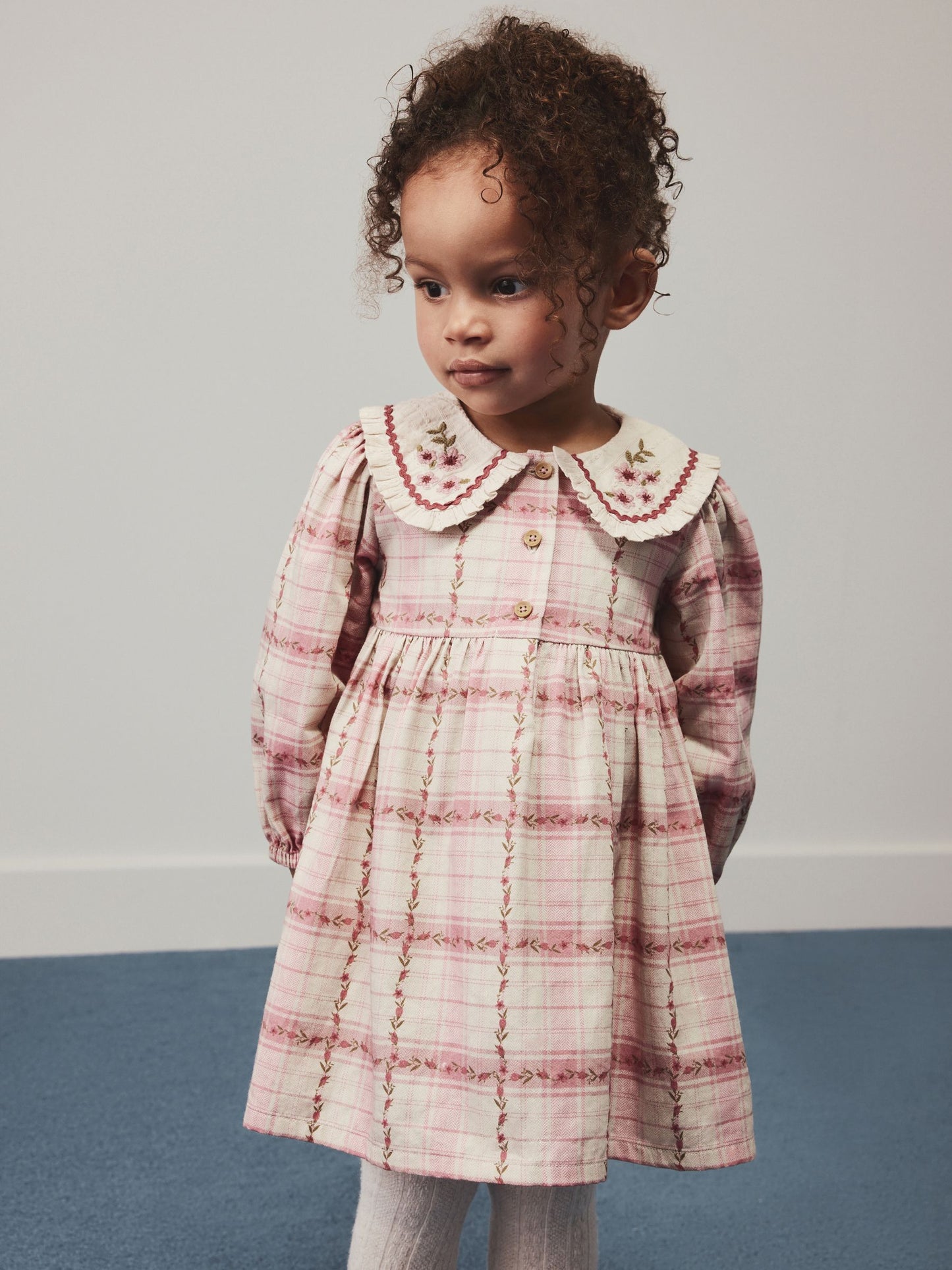 Dsiney Kidz - Pink Check Long Sleeve Collar Dress (3mths-8yrs) image 1
