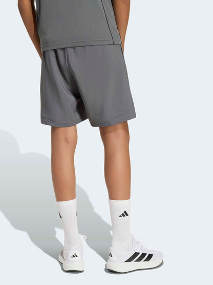 Dsiney Kidz - adidas Grey Tech Climacool Shorts image 2