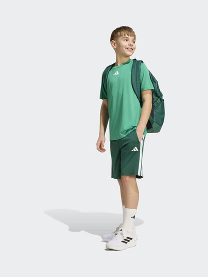 Dsiney Kidz - adidas Green Train Essentials 3-Stripes Kids T-Shirt & Shorts Set image 3