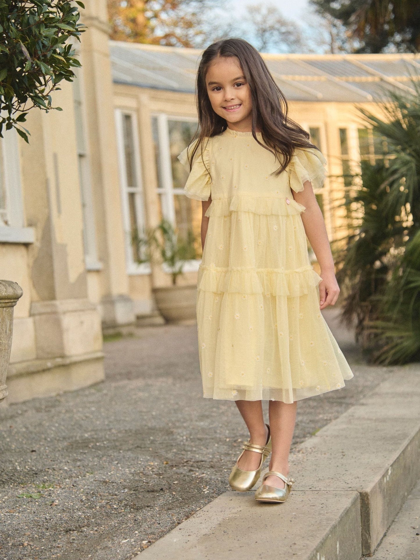 Angel & Rocket Yellow Luisa Yellow Embroidered Mesh Dress image 2
