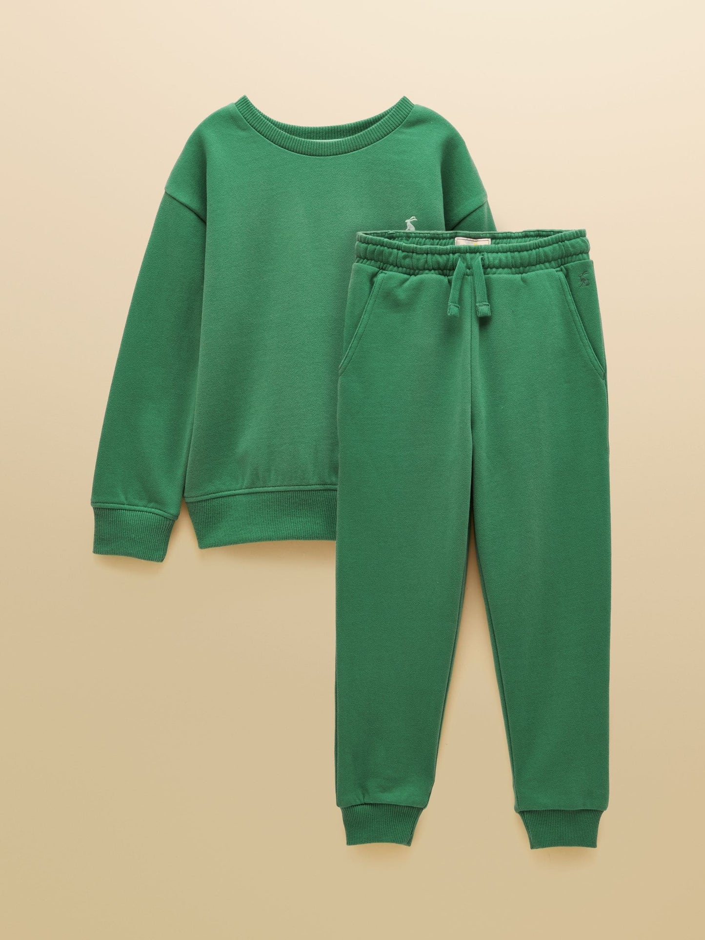 Dsiney Kidz - Joules Green Boys' Sweatshirt and Jogger Set image 1