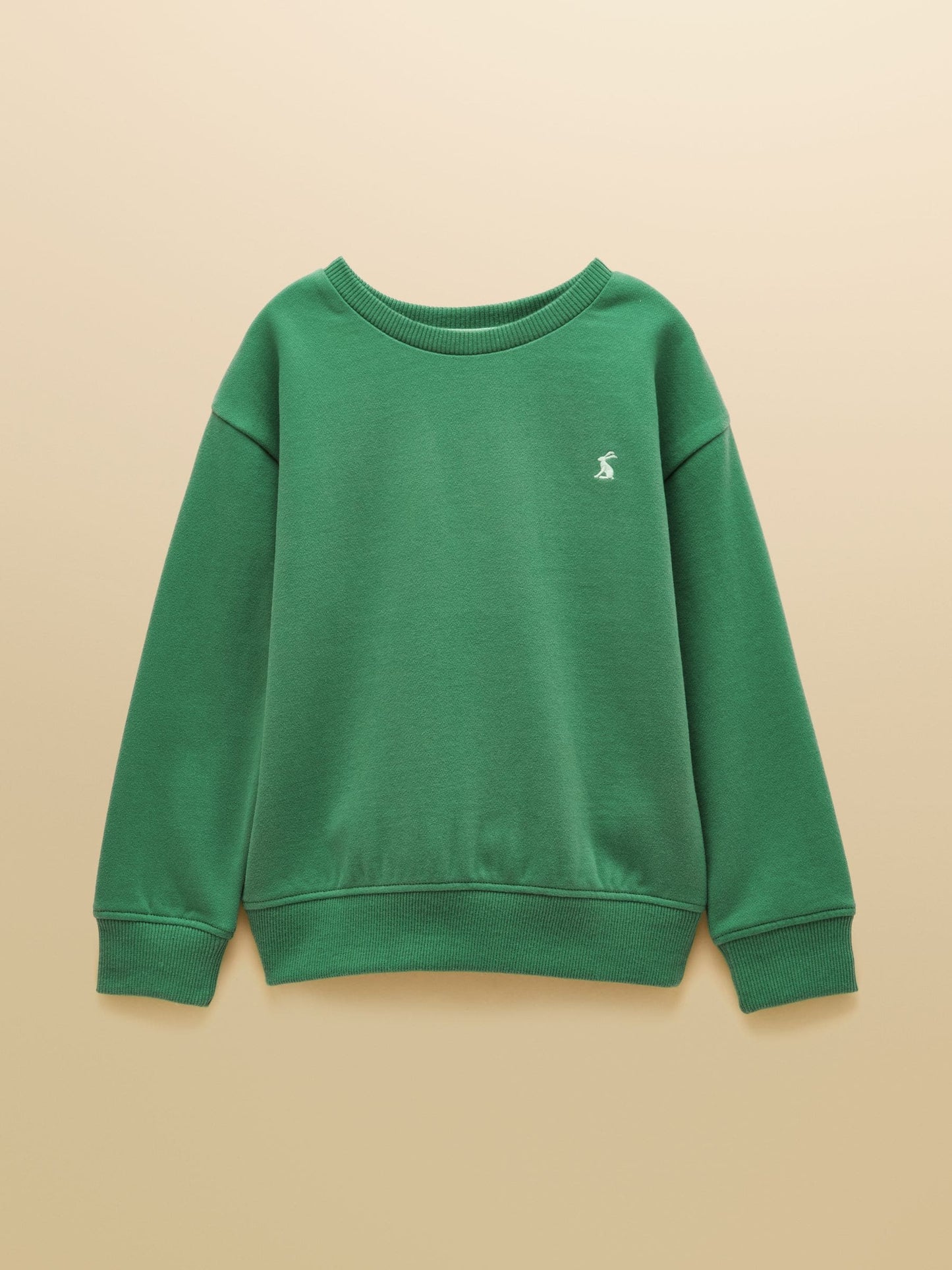 Dsiney Kidz - Joules Green Boys' Sweatshirt and Jogger Set image 2