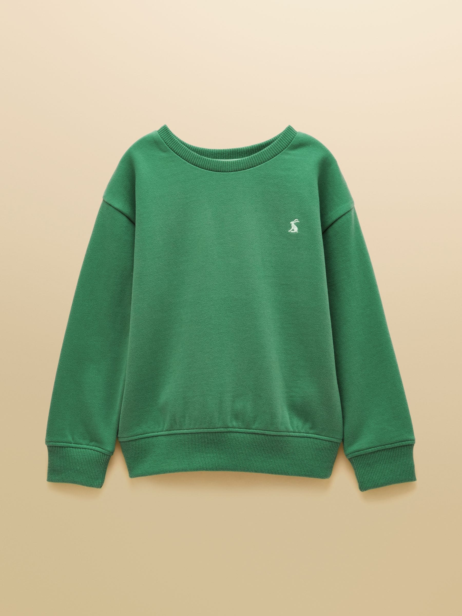 Dsiney Kidz - Joules Green Boys' Sweatshirt and Jogger Set image 2