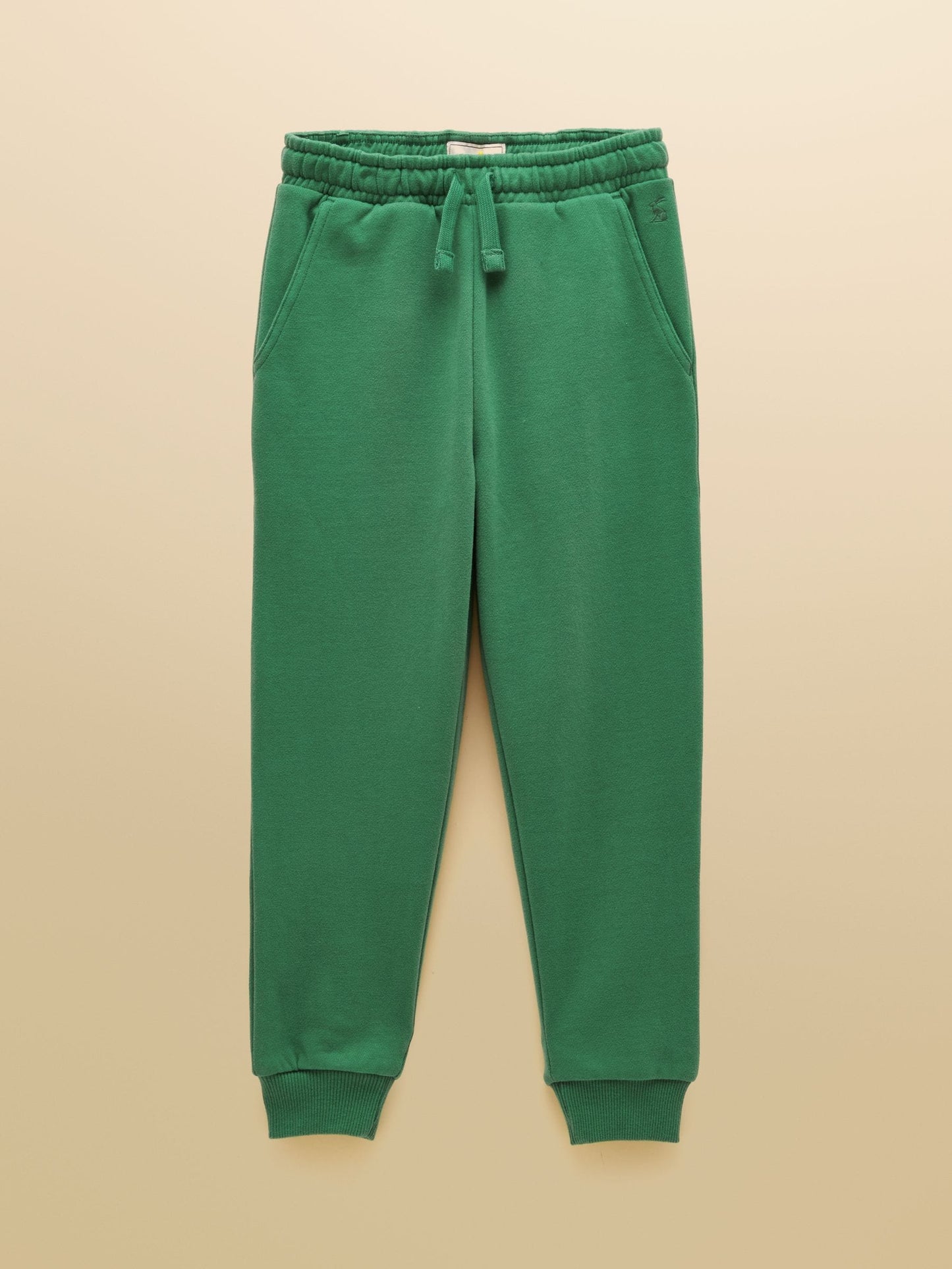 Dsiney Kidz - Joules Green Boys' Sweatshirt and Jogger Set image 4
