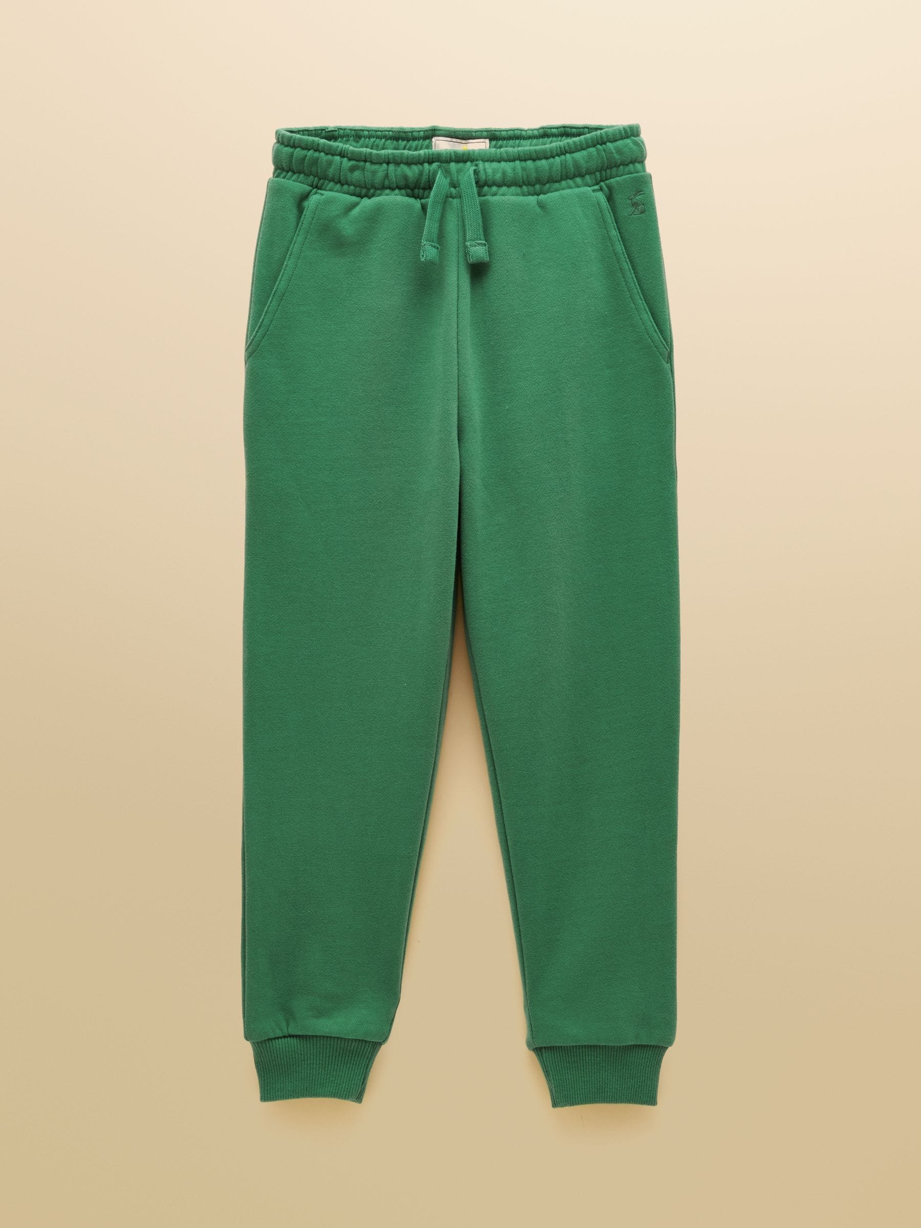 Dsiney Kidz - Joules Green Boys' Sweatshirt and Jogger Set image 4