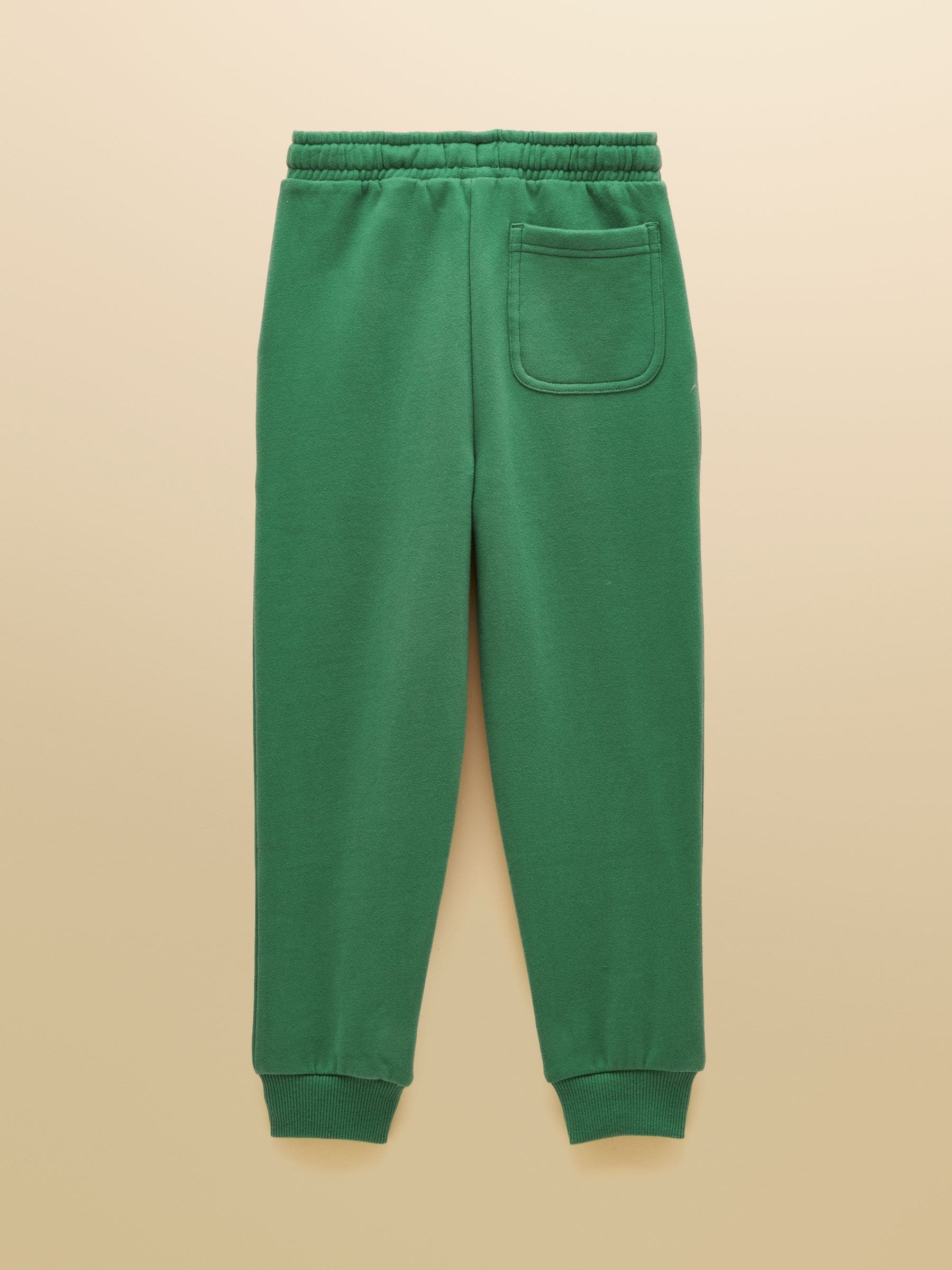 Dsiney Kidz - Joules Green Boys' Sweatshirt and Jogger Set image 5