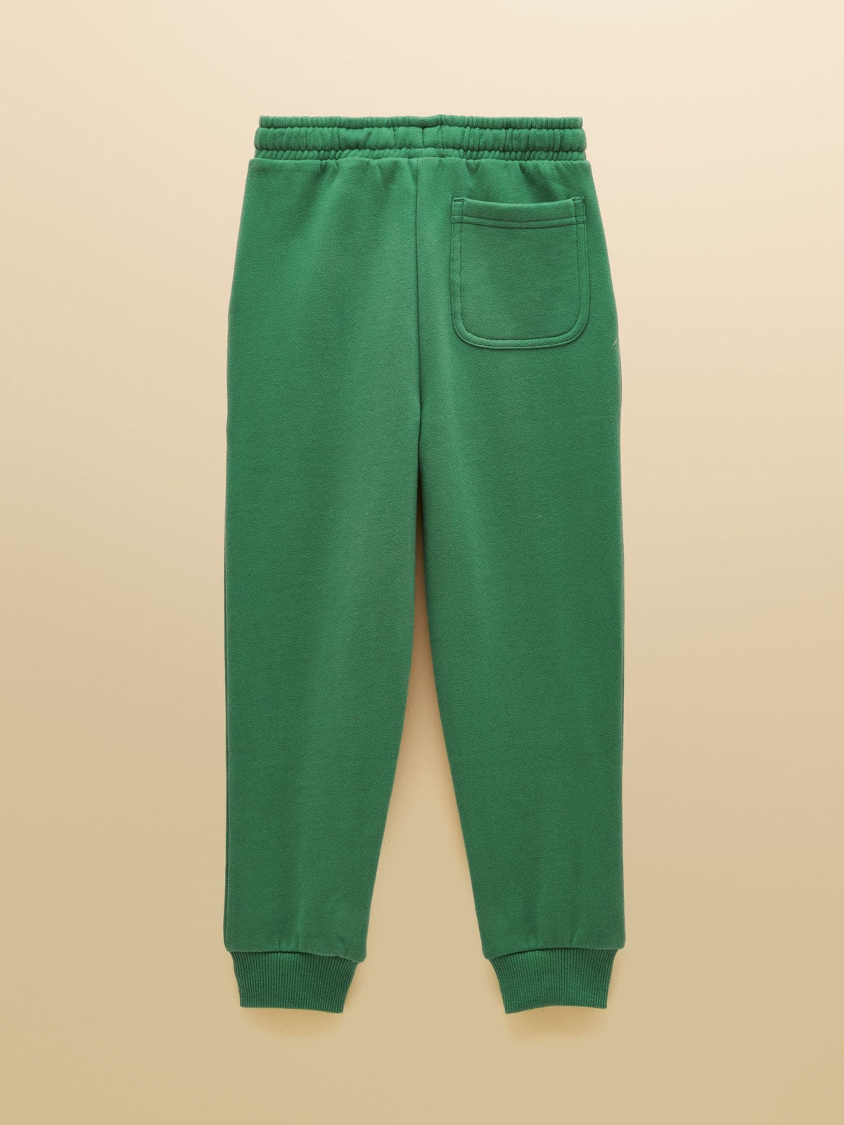 Dsiney Kidz - Joules Green Boys' Sweatshirt and Jogger Set image 5
