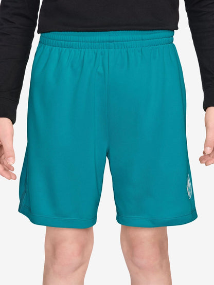 Dsiney Kidz - Nike Energy Blue Multi Dri-FIT Training Shorts image 1