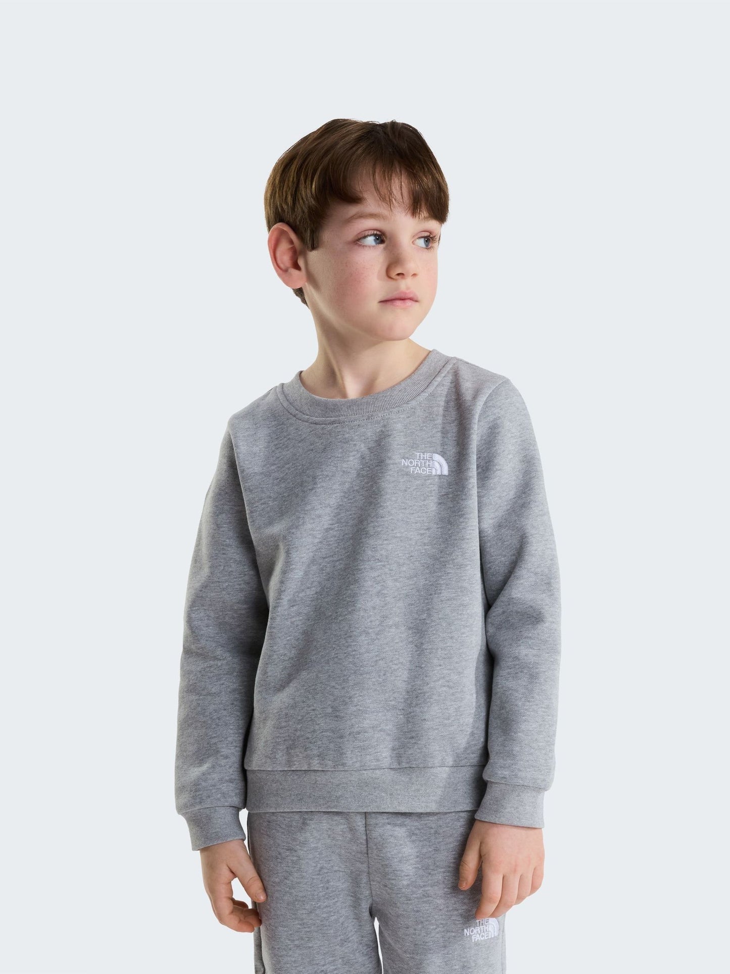 Dsiney Kidz - The North Face Grey Evolution Simple Dome Sweat Top & Joggers Set image 2
