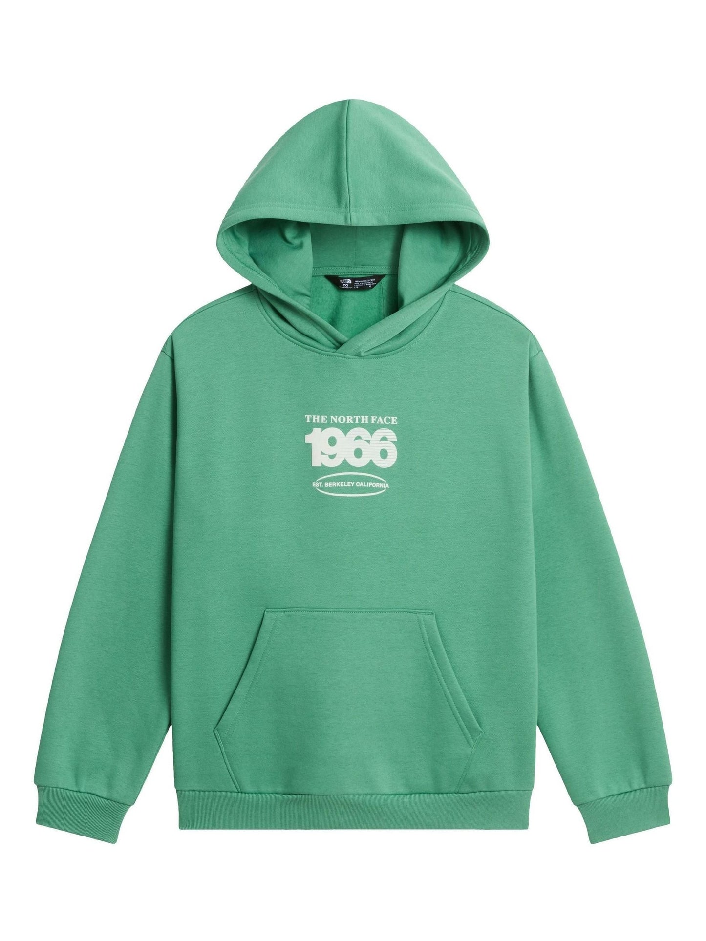 Dsiney Kidz - The North Face Green Teen Track Relaxed Graphic Hoodie image 4