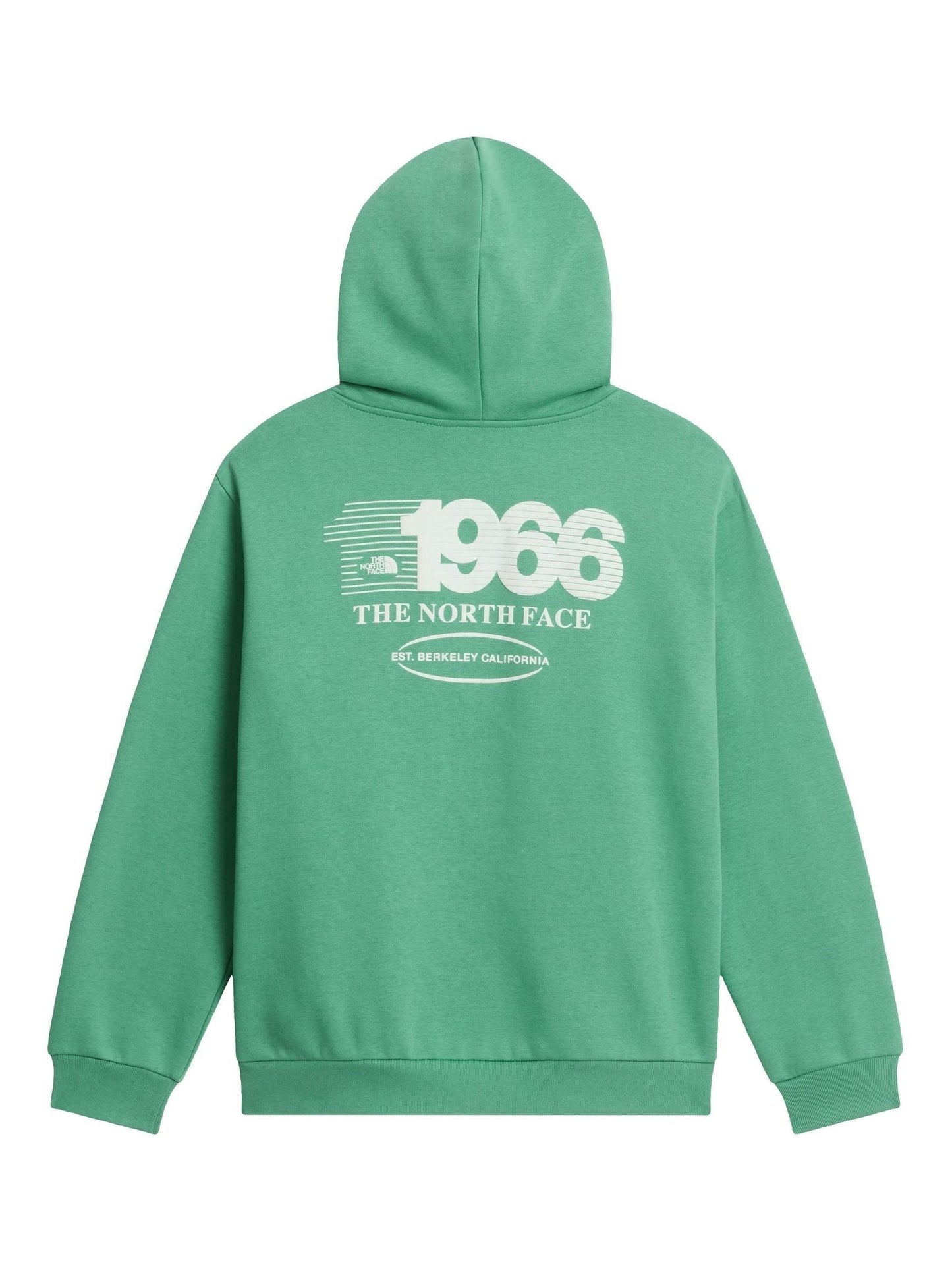 Dsiney Kidz - The North Face Green Teen Track Relaxed Graphic Hoodie image 5