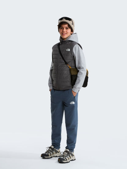 Dsiney Kidz - The North Face Grey Never Stop Puffer Gilet image 2