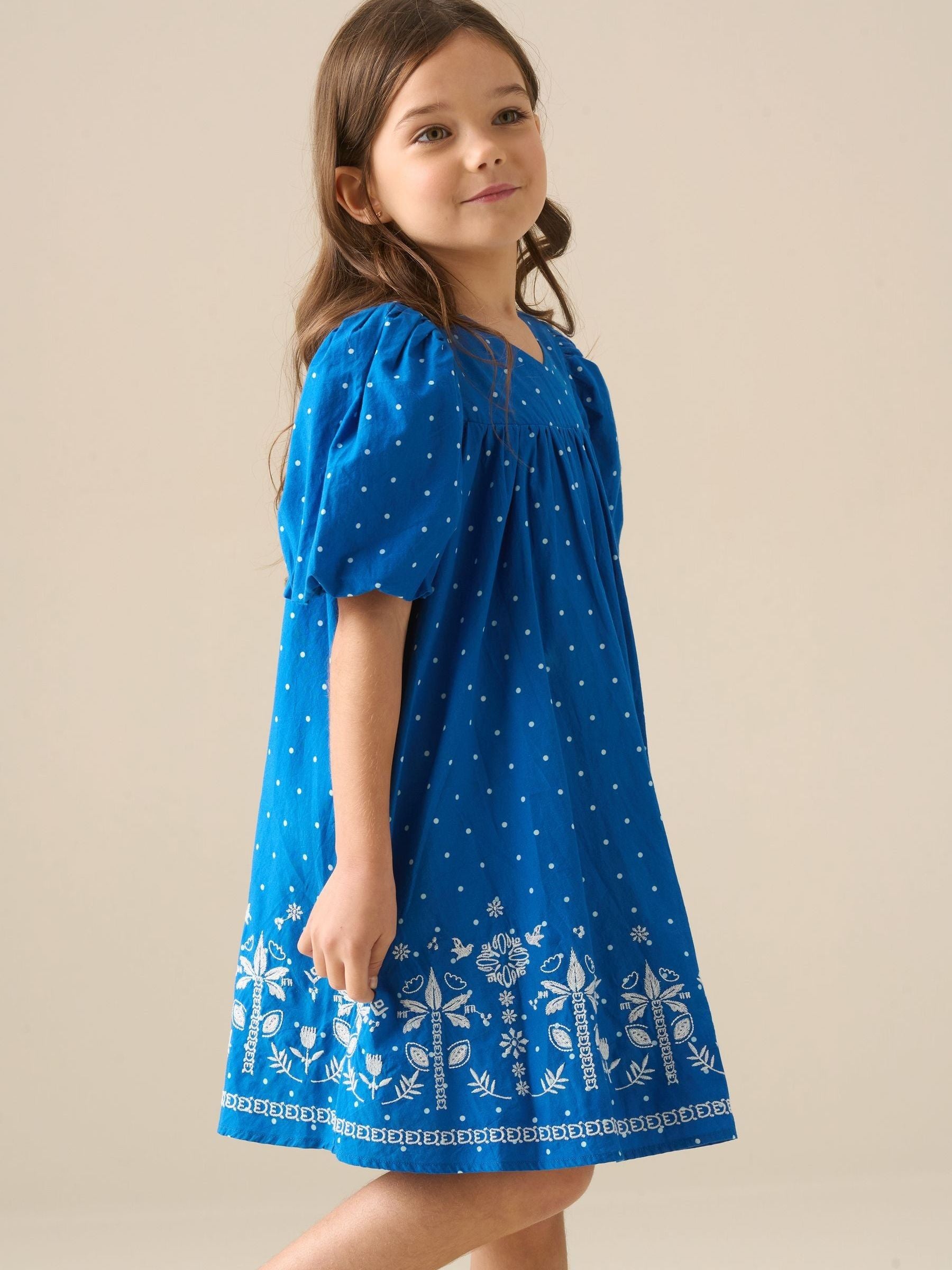 Angel & Rocket Blue Josie Palm Embroidered Swing Dress image 2