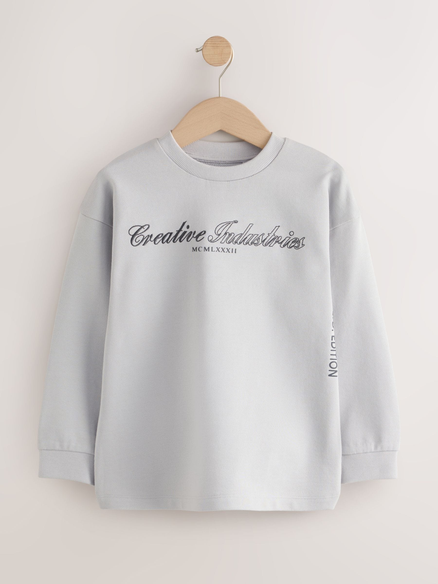Dsiney Kidz - Grey/Sage/Berry Heavyweight Long Sleeve T-Shirts 3 Pack (3-16yrs) image 2