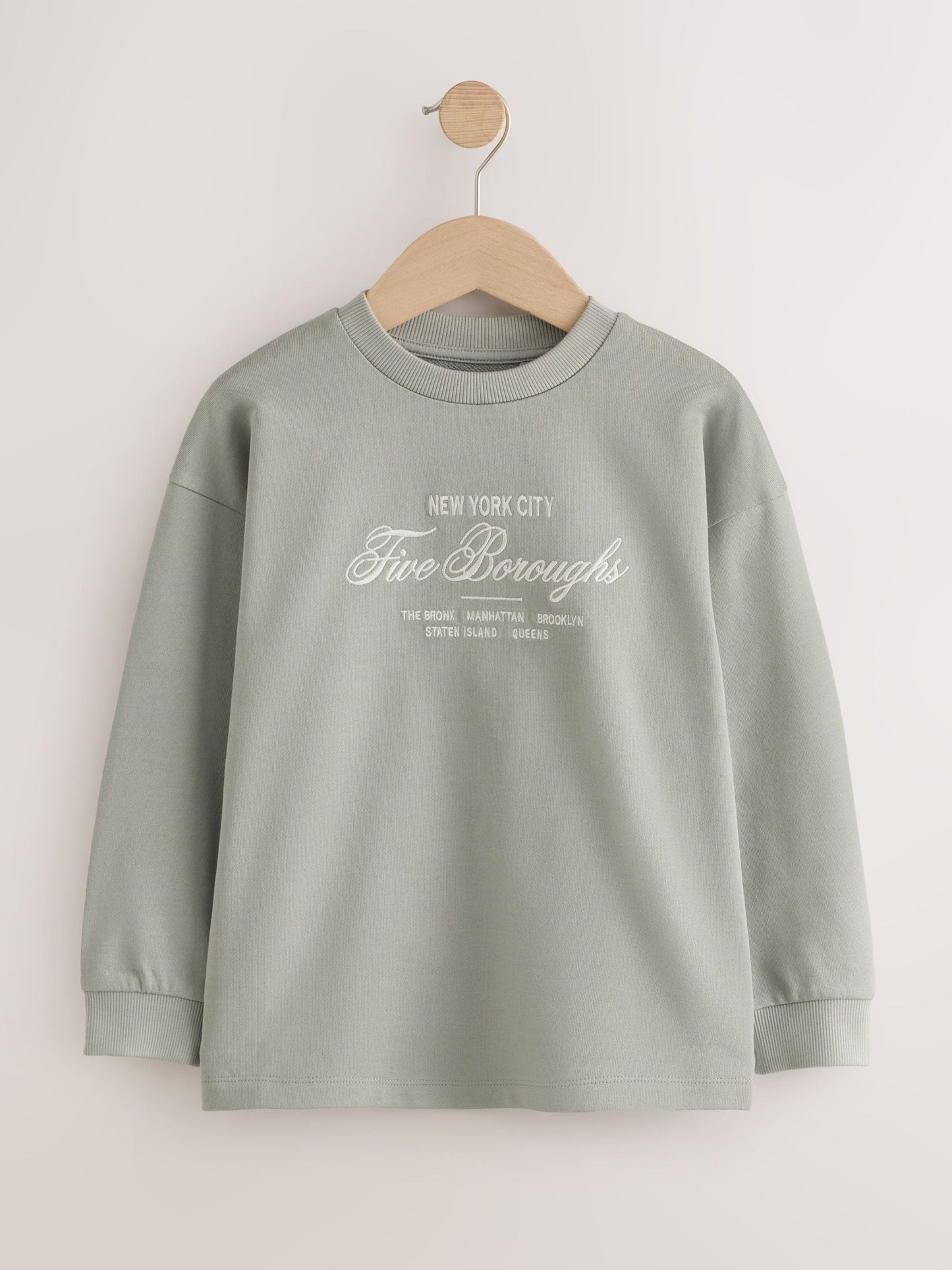 Dsiney Kidz - Grey/Sage/Berry Heavyweight Long Sleeve T-Shirts 3 Pack (3-16yrs) image 3