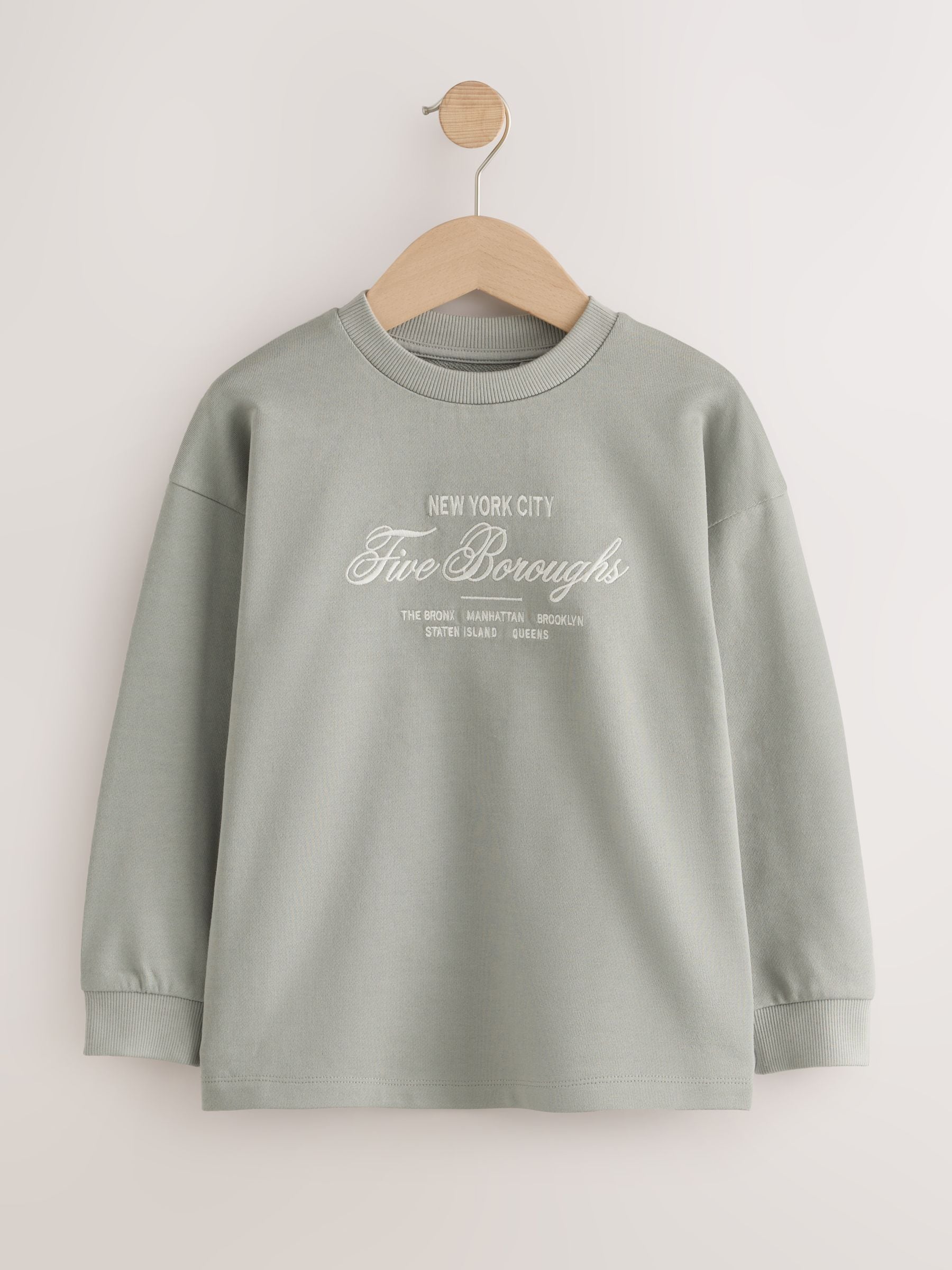 Dsiney Kidz - Grey/Sage/Berry Heavyweight Long Sleeve T-Shirts 3 Pack (3-16yrs) image 3