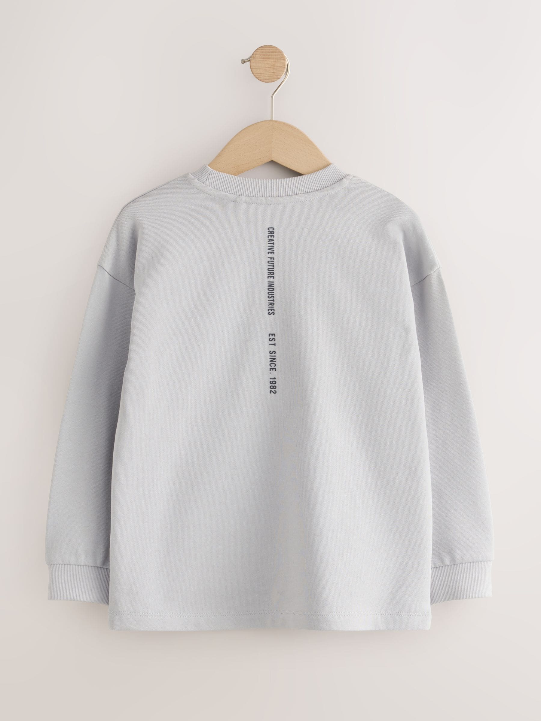 Dsiney Kidz - Grey/Sage/Berry Heavyweight Long Sleeve T-Shirts 3 Pack (3-16yrs) image 5