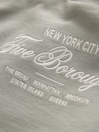Dsiney Kidz - Grey/Sage/Berry Heavyweight Long Sleeve T-Shirts 3 Pack (3-16yrs) image 7