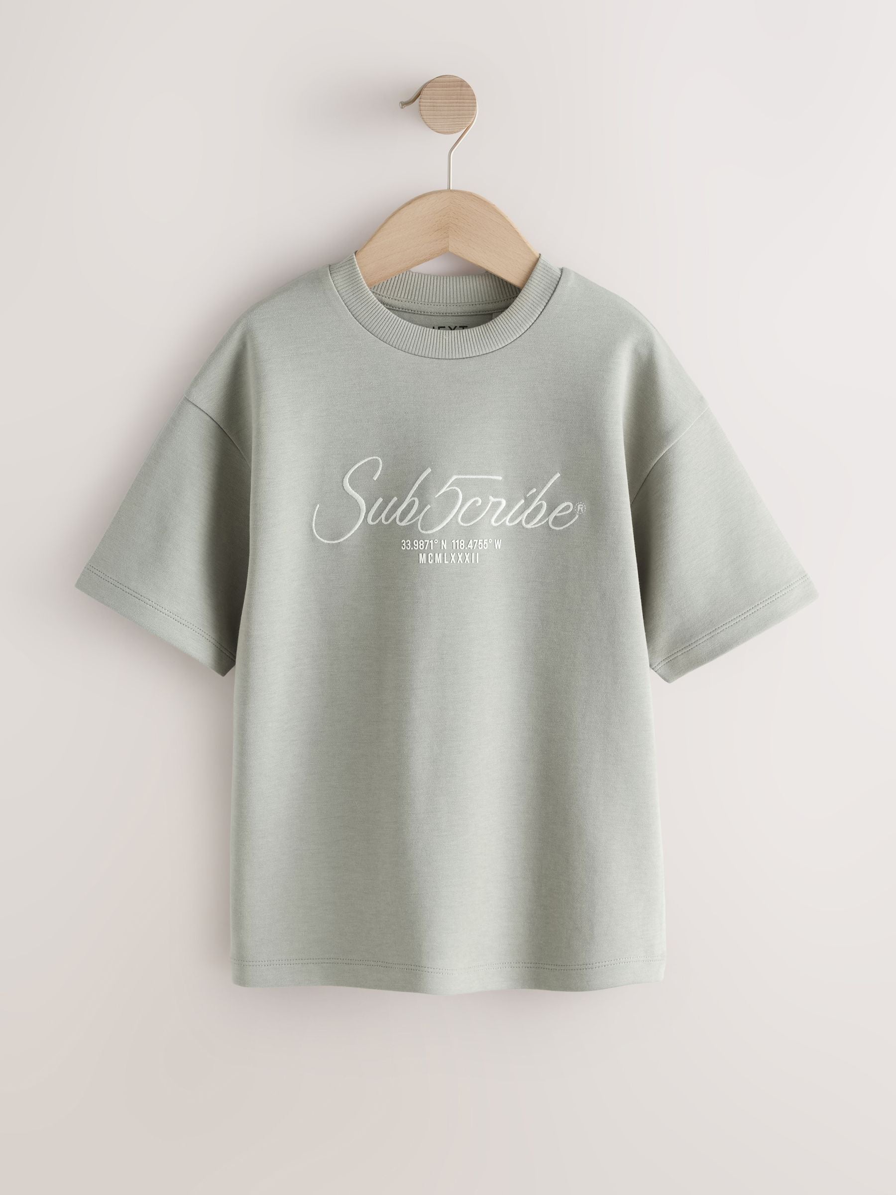Dsiney Kidz - Mineral Green Graphic Heavyweight Short Sleeve T-Shirt (3-16yrs) image 1