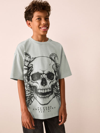 Dsiney Kidz - Grey Skull Short Sleeve Graphic T-Shirt (3-16yrs) image 1