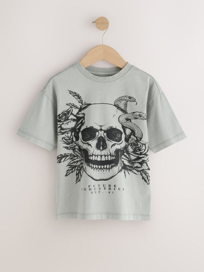 Dsiney Kidz - Grey Skull Short Sleeve Graphic T-Shirt (3-16yrs) image 5