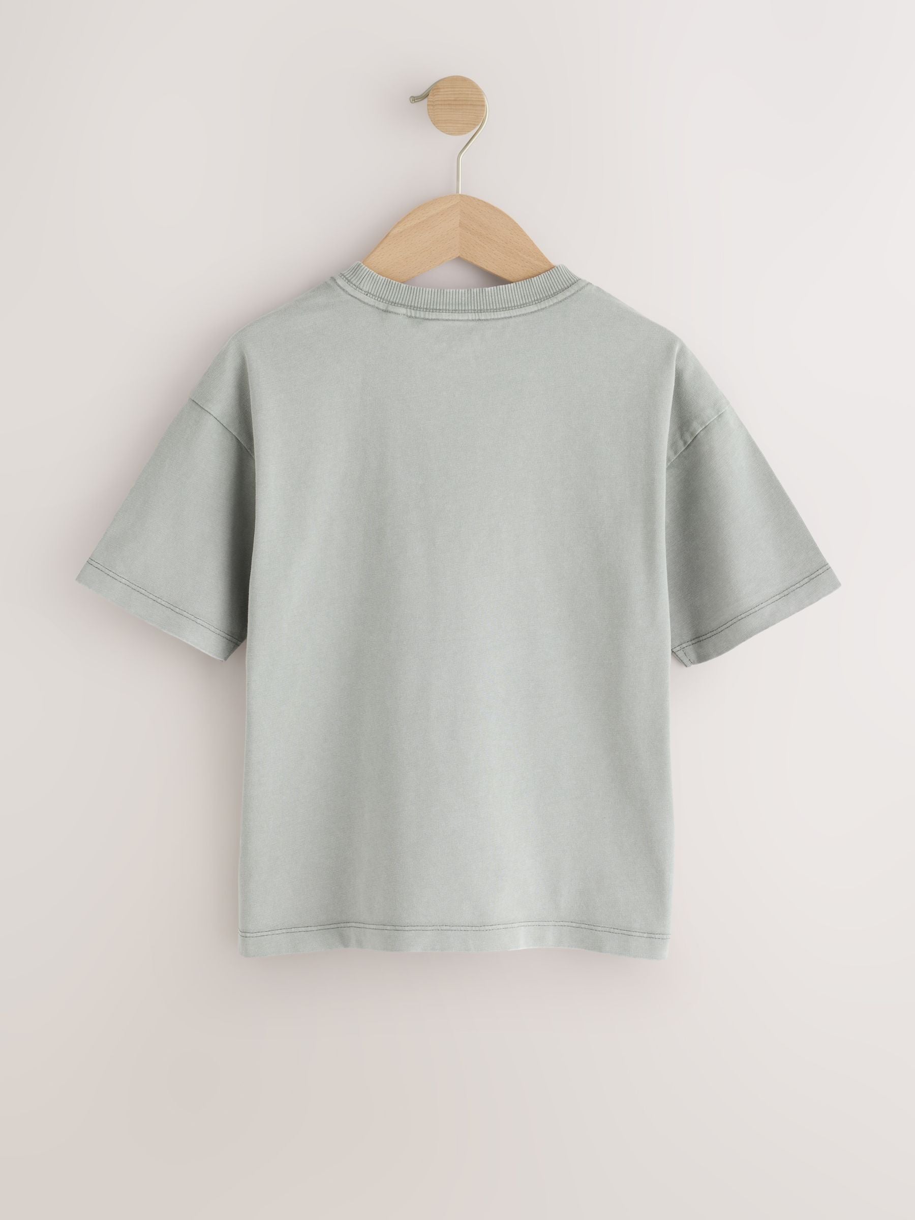 Dsiney Kidz - Grey Skull Short Sleeve Graphic T-Shirt (3-16yrs) image 6