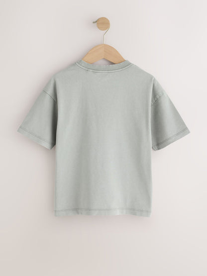 Dsiney Kidz - Grey Skull Short Sleeve Graphic T-Shirt (3-16yrs) image 6