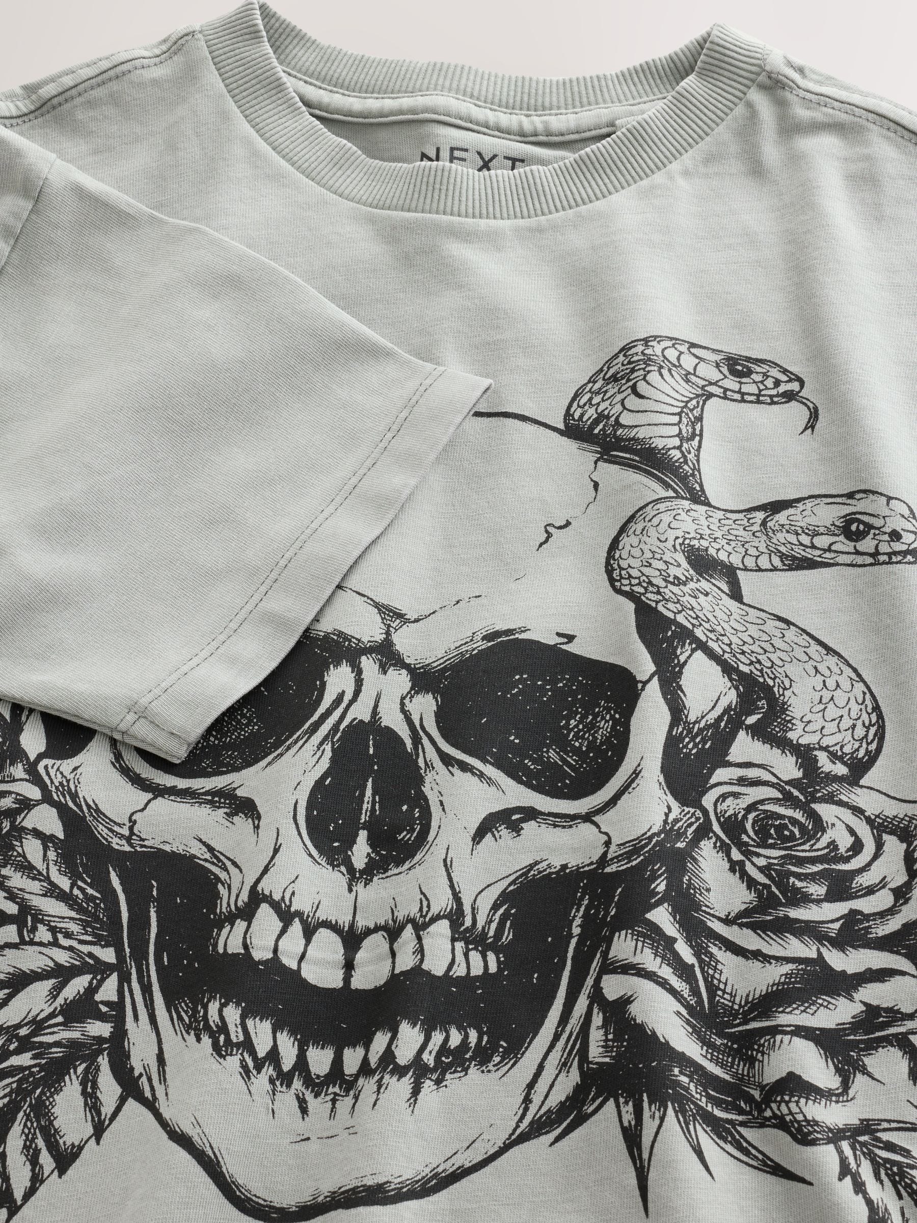 Dsiney Kidz - Grey Skull Short Sleeve Graphic T-Shirt (3-16yrs) image 7