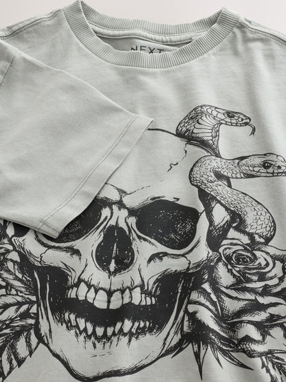 Dsiney Kidz - Grey Skull Short Sleeve Graphic T-Shirt (3-16yrs) image 7