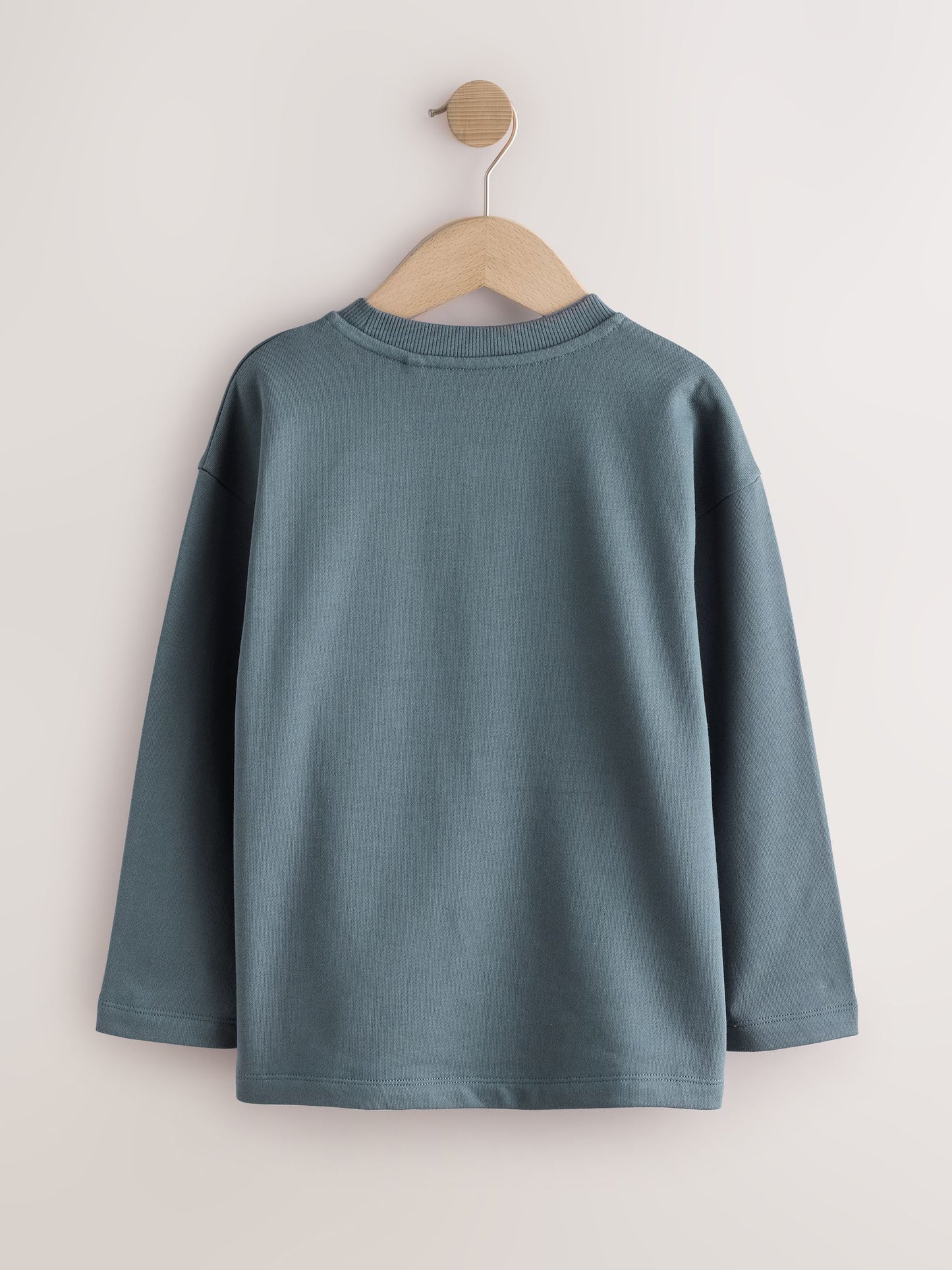 Dsiney Kidz - Mineral Long Sleeve Heavyweight Varsity T-Shirt (3-16yrs) image 2
