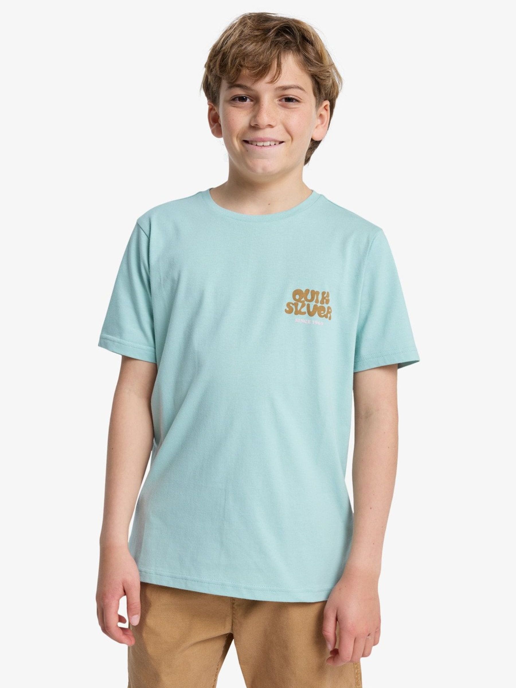 Dsiney Kidz - Quiksilver Blue Fruits Tide Backprint Graphic Short Sleeve T-Shirt image 3