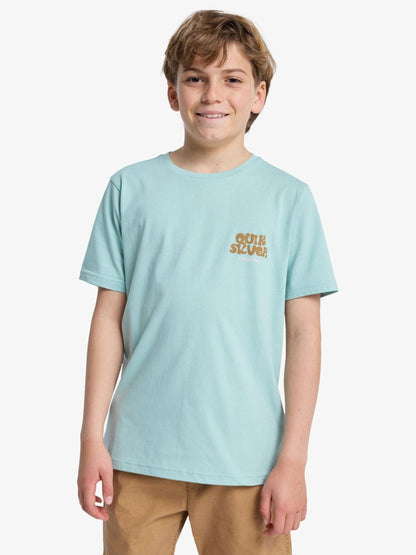 Dsiney Kidz - Quiksilver Blue Fruits Tide Backprint Graphic Short Sleeve T-Shirt image 3