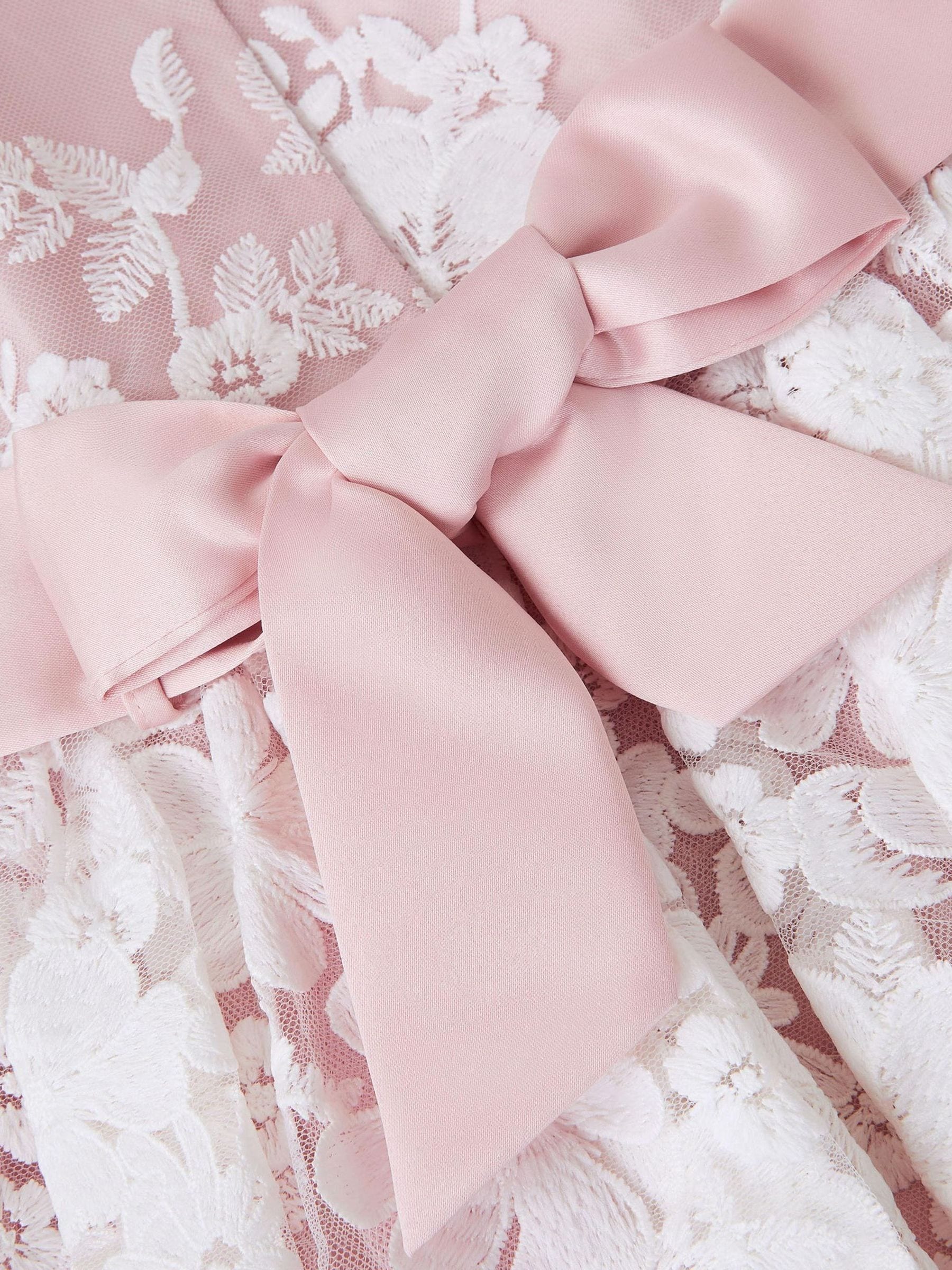 Monsoon Pale Pink Felicity Floral Embroidered Mesh Dress image 3