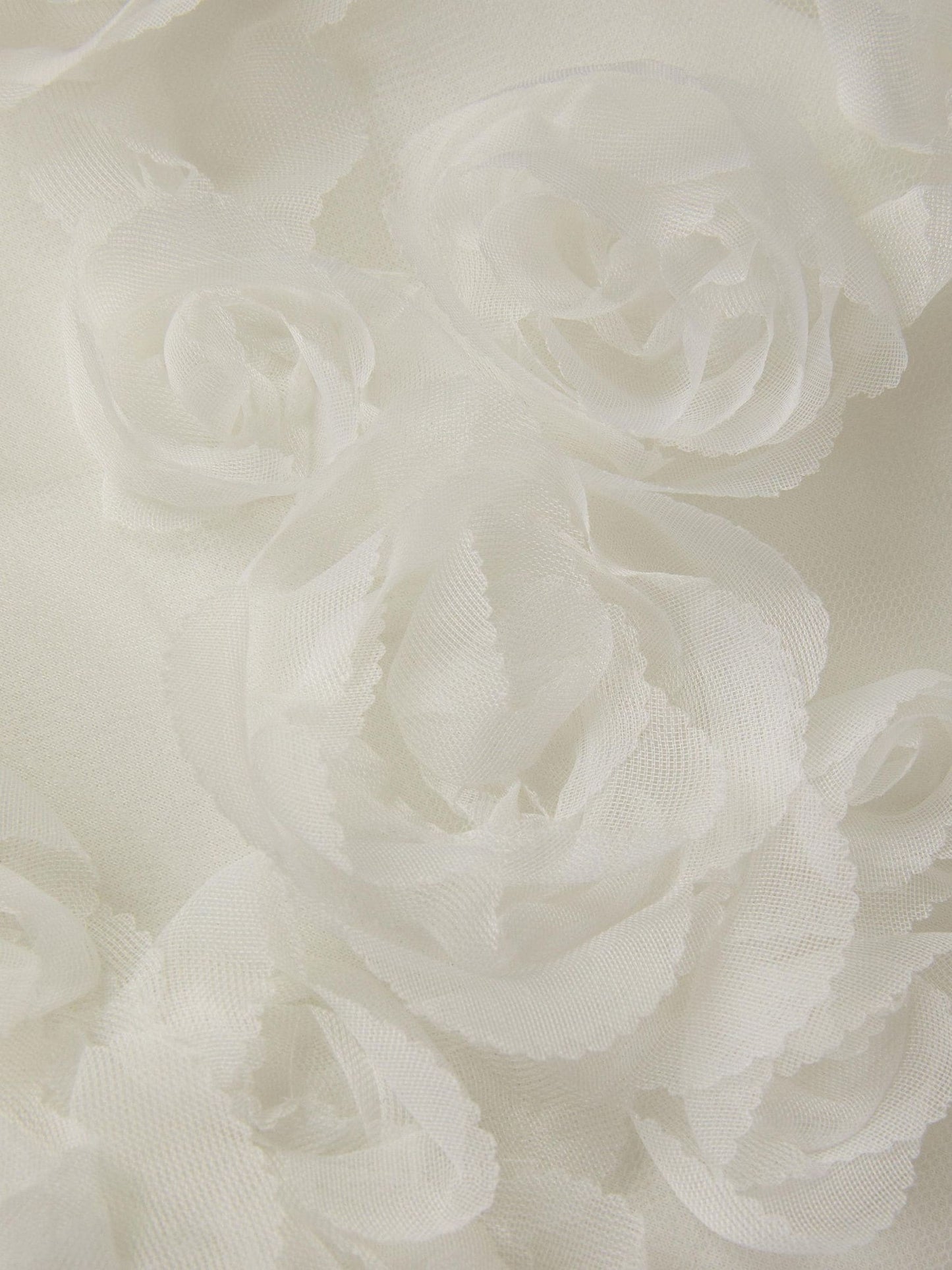 Monsoon Cream Baby Elouise Sleeveless Rose Appliqué Dress image 3