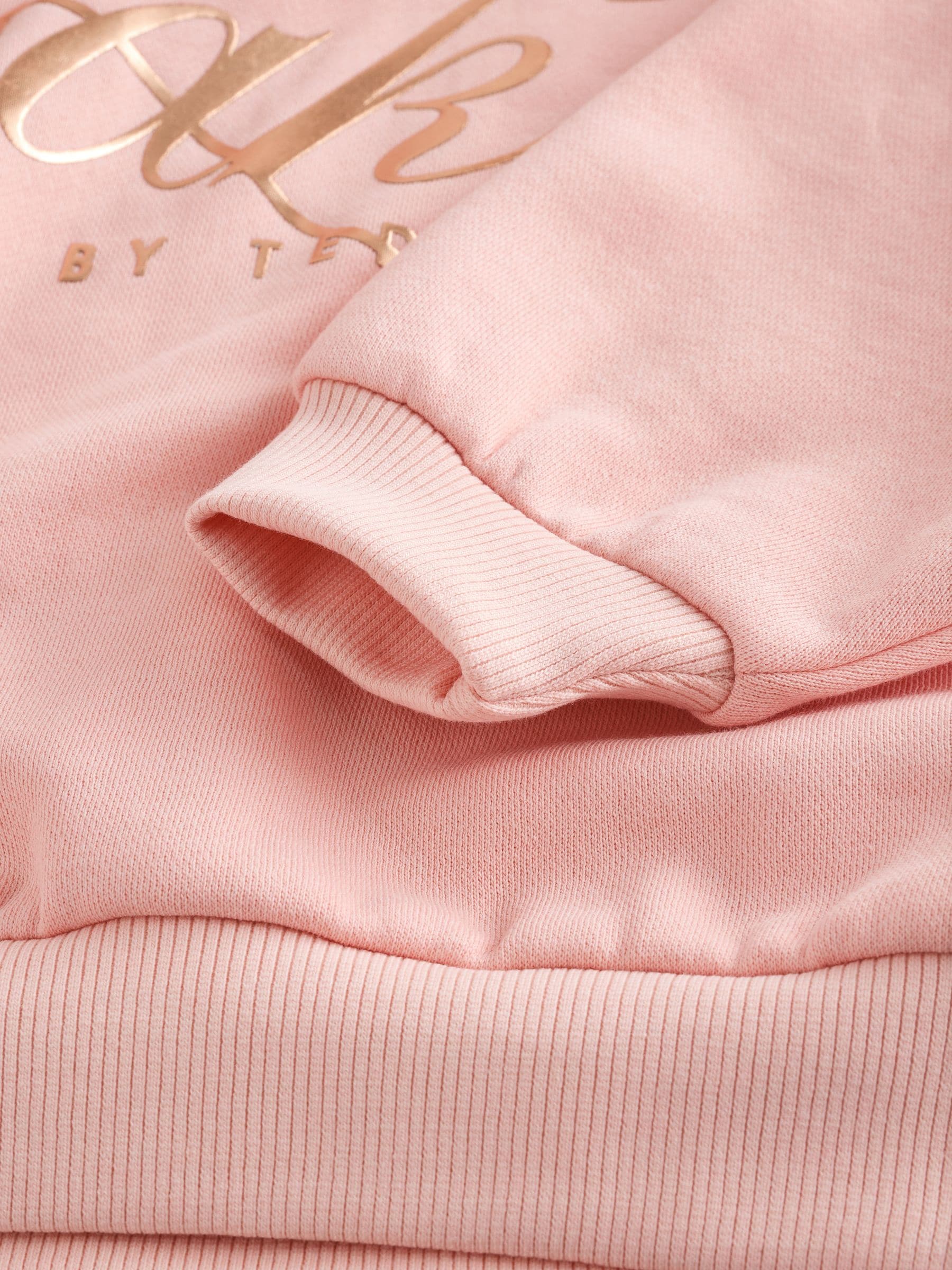 Baker by Ted Baker Pink Oversized Metallic Script Logo Hoodie image 8
